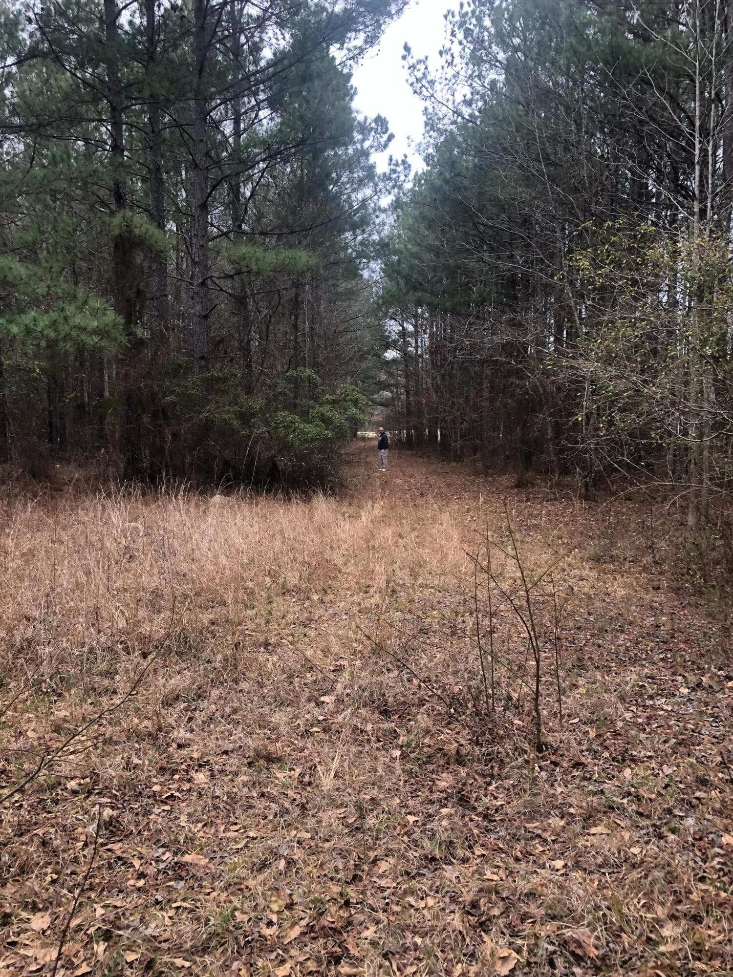 Undeveloped at 4.17 Acres Starr Hinson Road, Thomson, GA 30824, photo 13 of 17