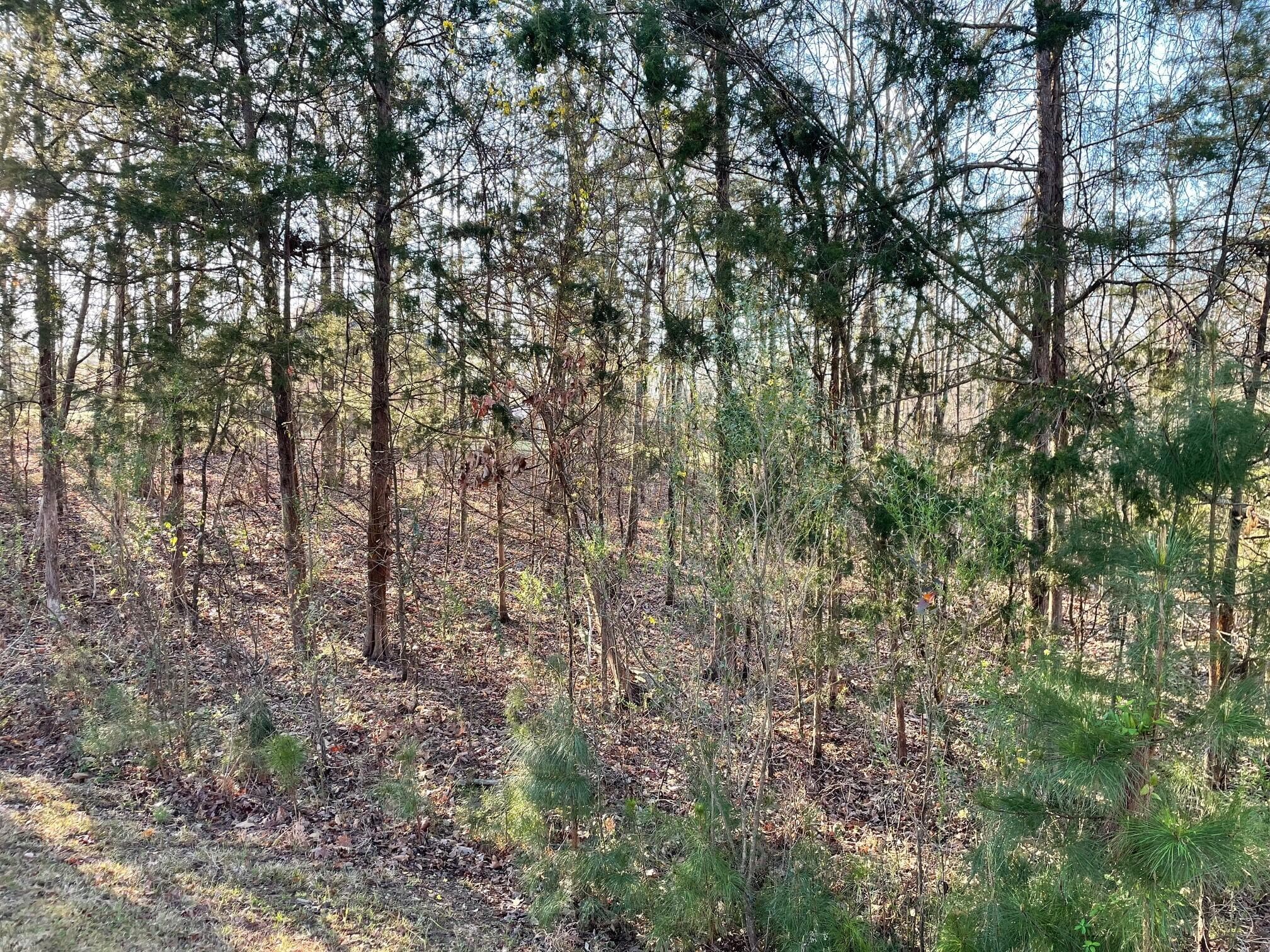 Residential Lot at Lot 22 Plantation Point, Lincolnton, GA 30817, photo 5 of 9