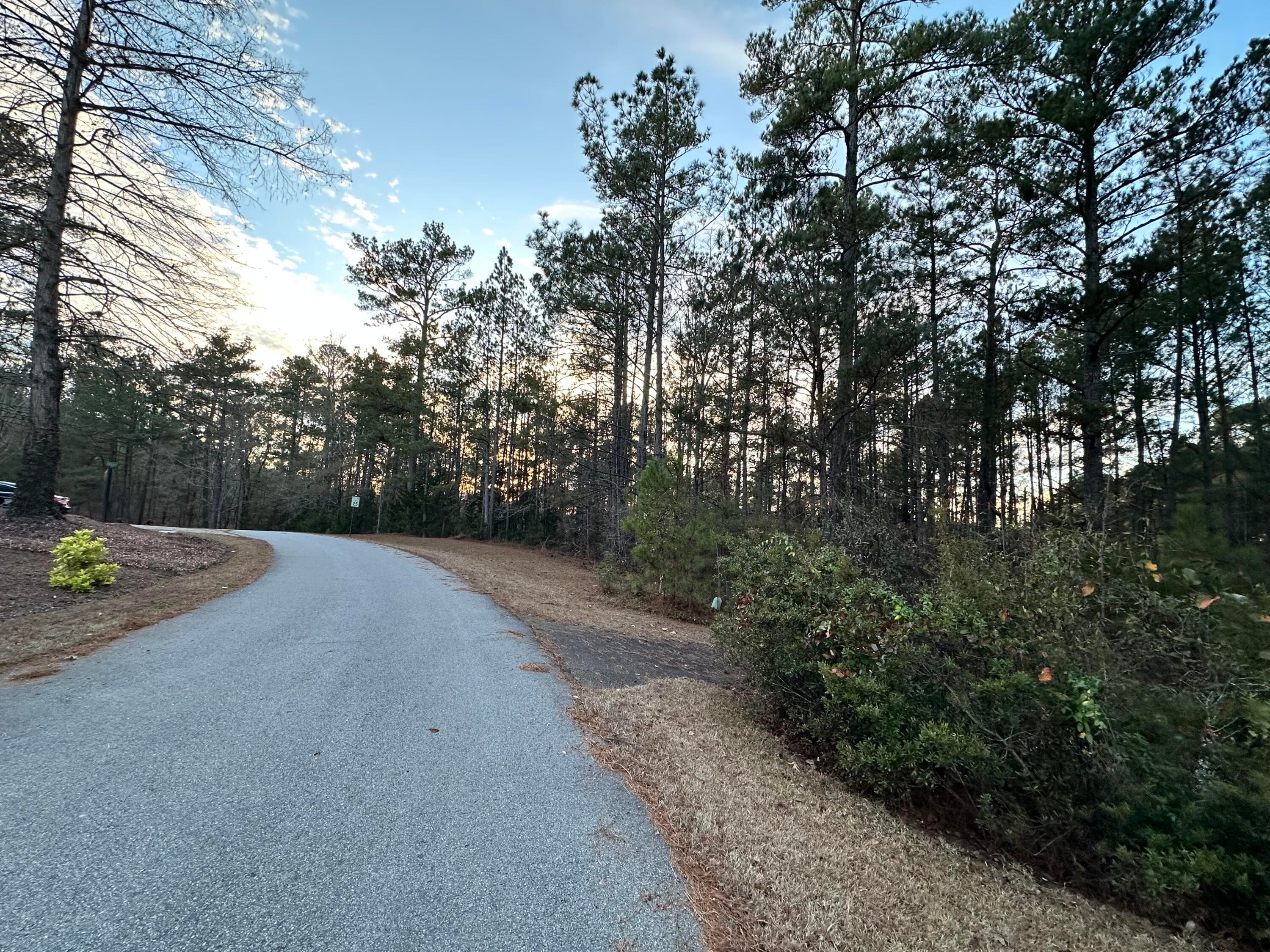 Undeveloped at 101 Bereau Drive, McCormick, SC 29835, photo 7 of 9