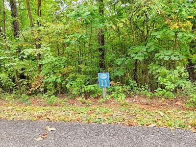 Lot 11 11 Skyview Drive, Hayesville, NC 28904
