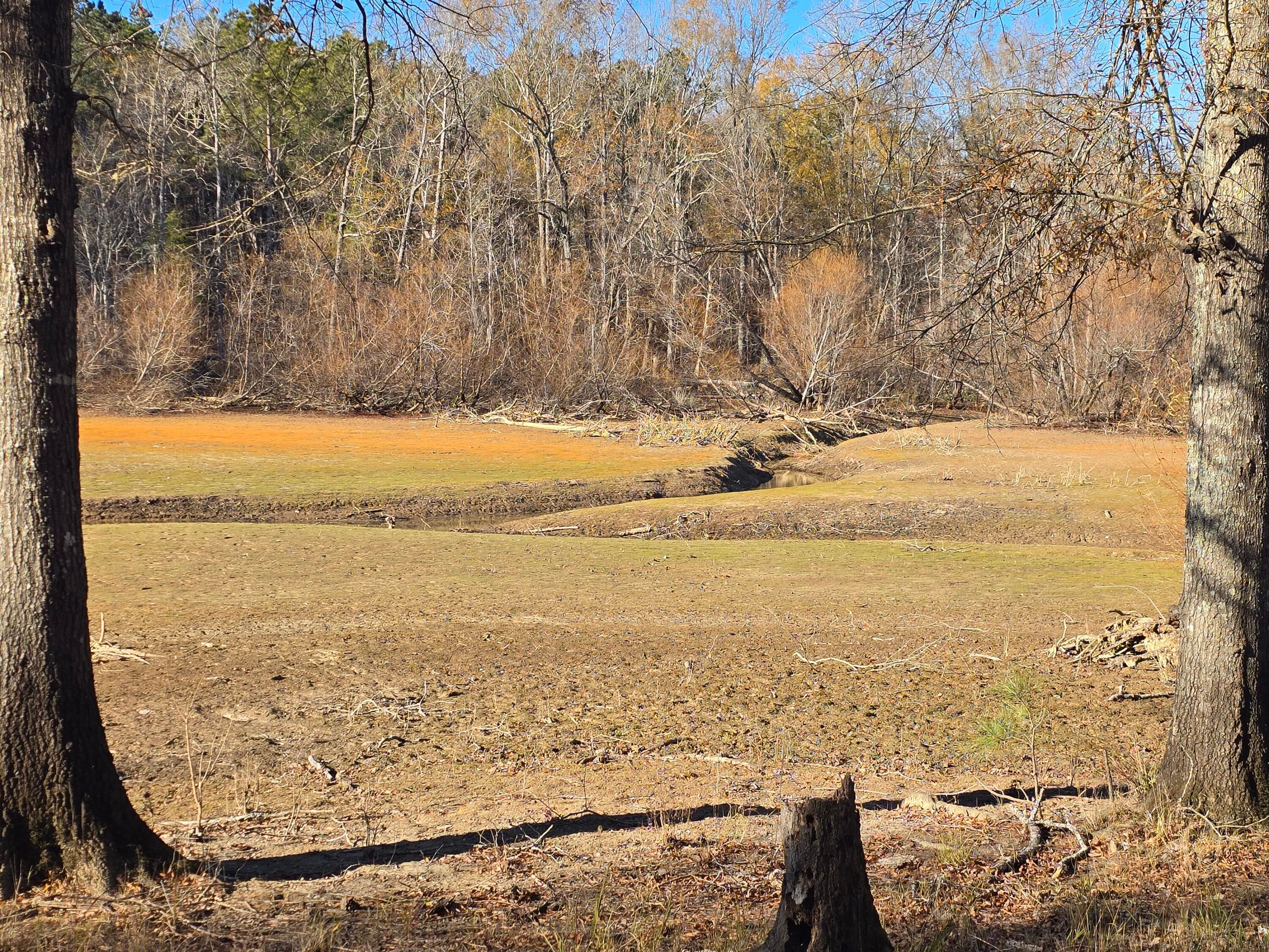 Residential Lot at 1102 Dogwood Drive, Lincolnton, GA 30817, photo 39 of 46