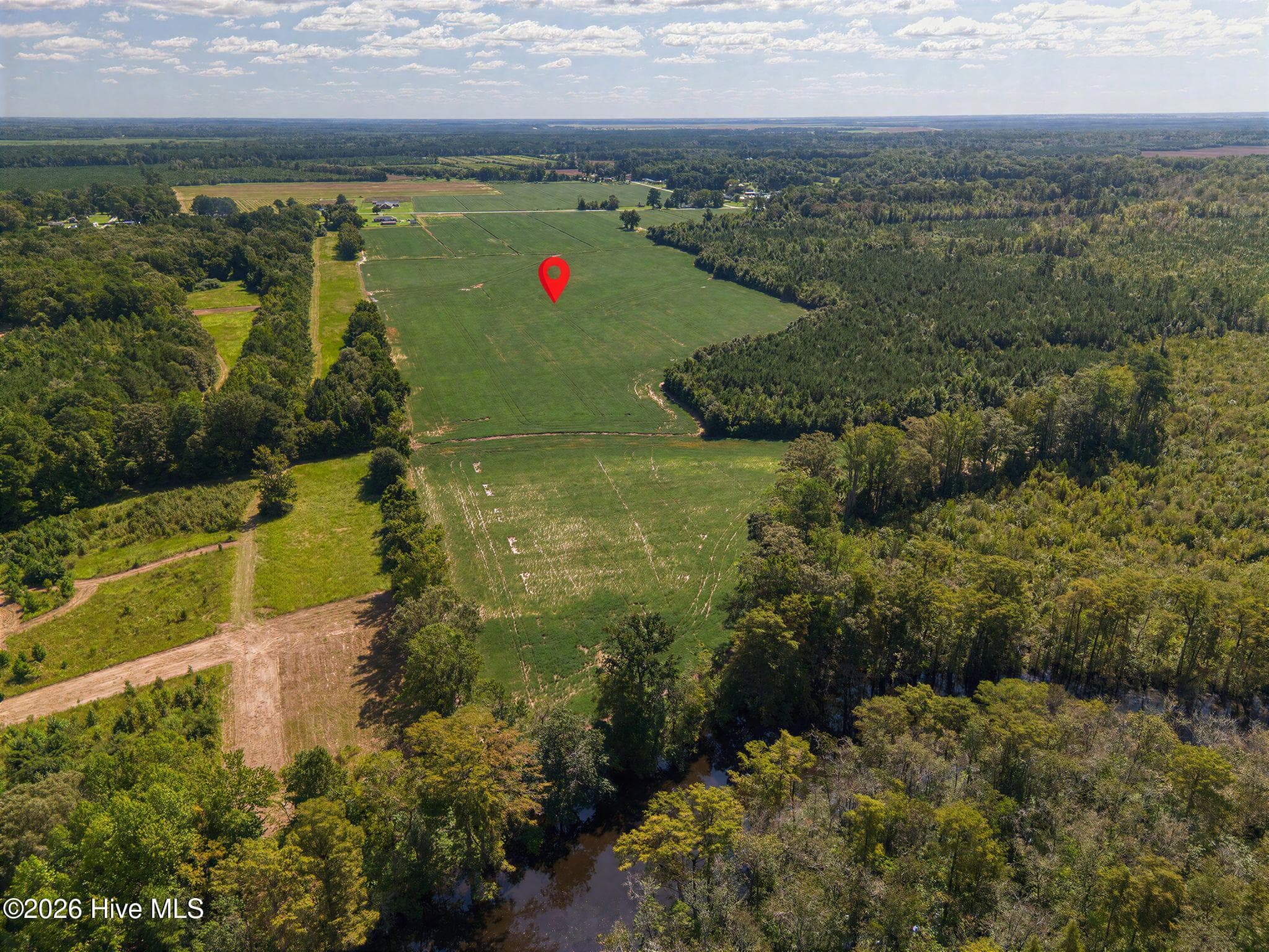 Farm at 0 N Highway 32 Highway E, Roper, NC 27970, photo 3 of 13