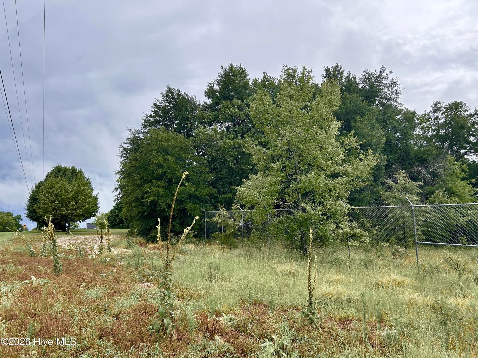Commercial Sale at 0 Carolina 381, Hamlet, NC 28345, photo 3 of 8