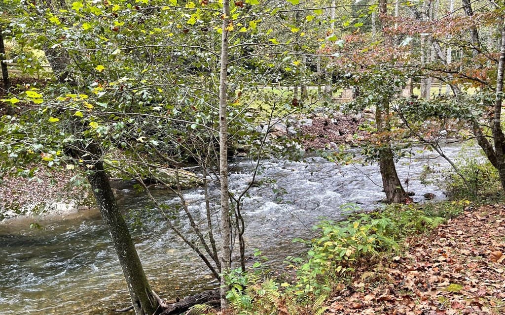 Land at Lot 77 77 Fires Creek Cove, Hayesville, NC 28904, Hayesville, photo 9 of 19