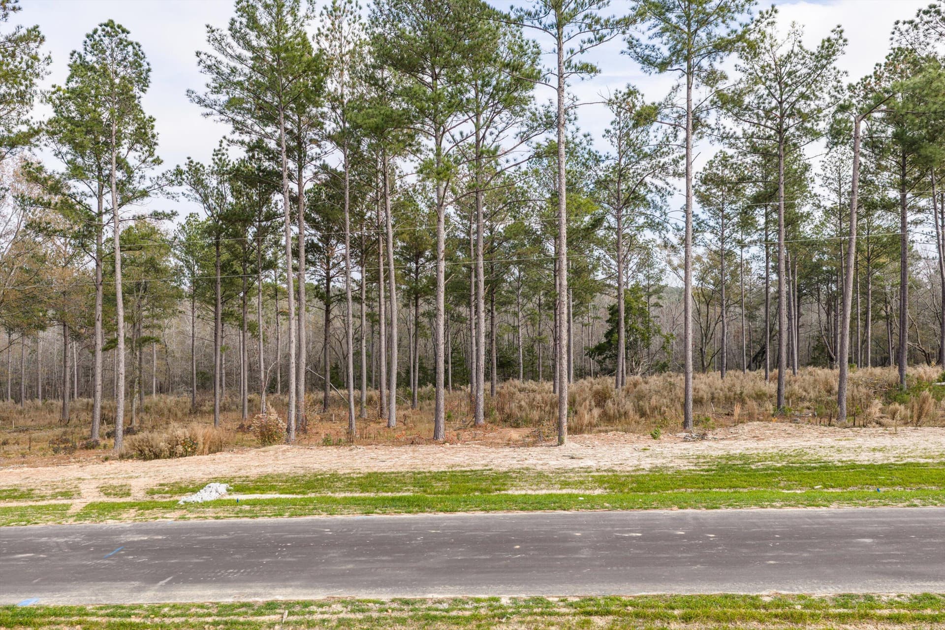 Residential Lot at 159 Beagle Chase Drive, Appling, GA 30802, photo 4 of 7