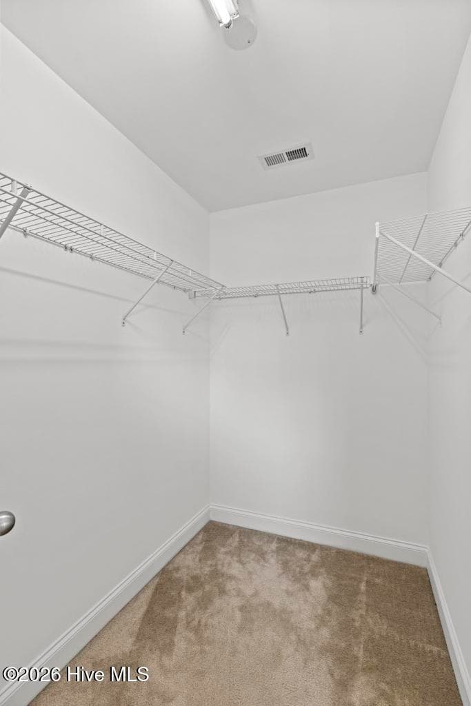 walk in closet 1 in primary - 408 Canvasback Lane, Sneads Ferry, NC 28460