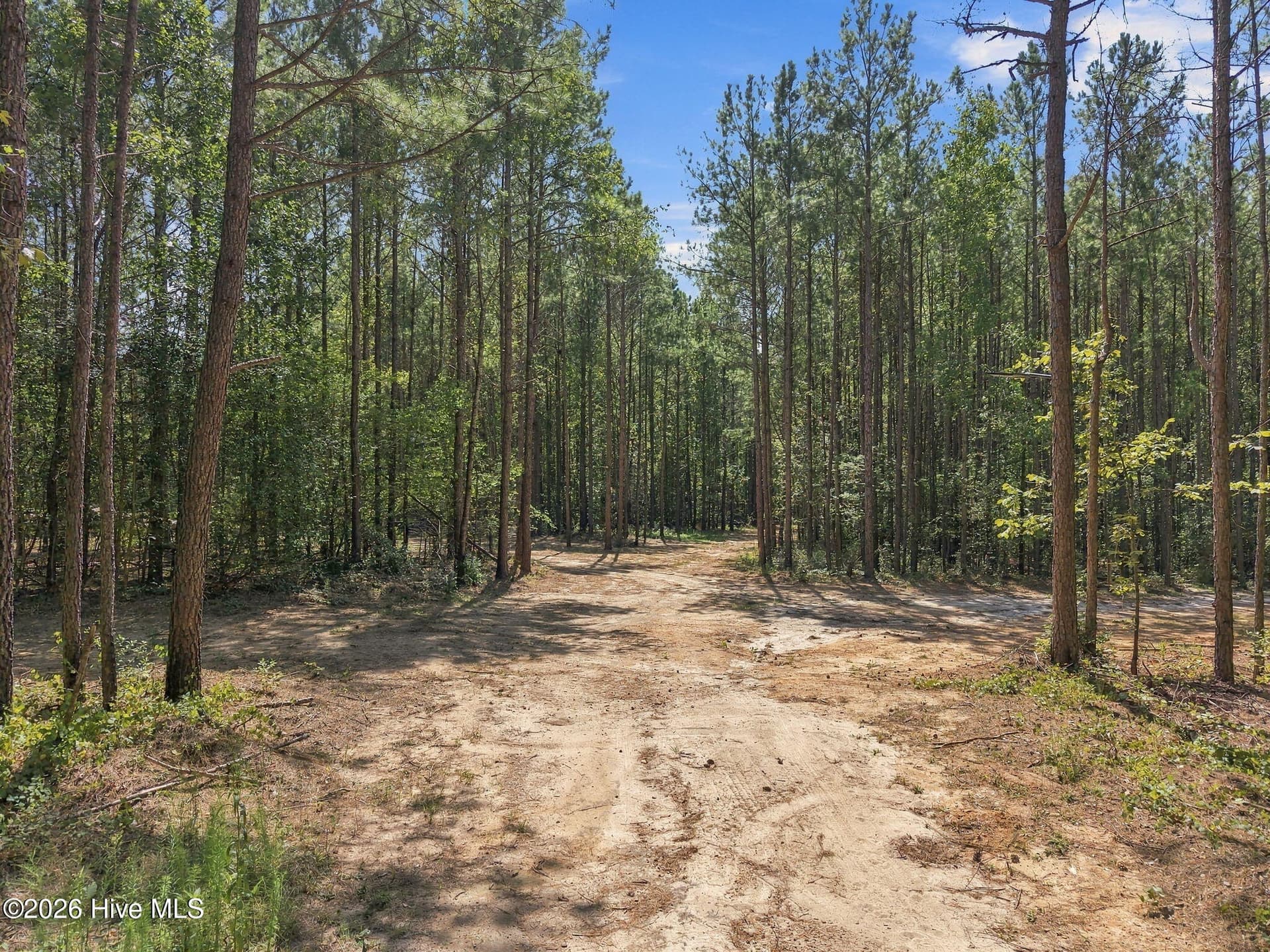 Undeveloped at 260 Full Bright Lane, Cameron, NC 28326, photo 12 of 15