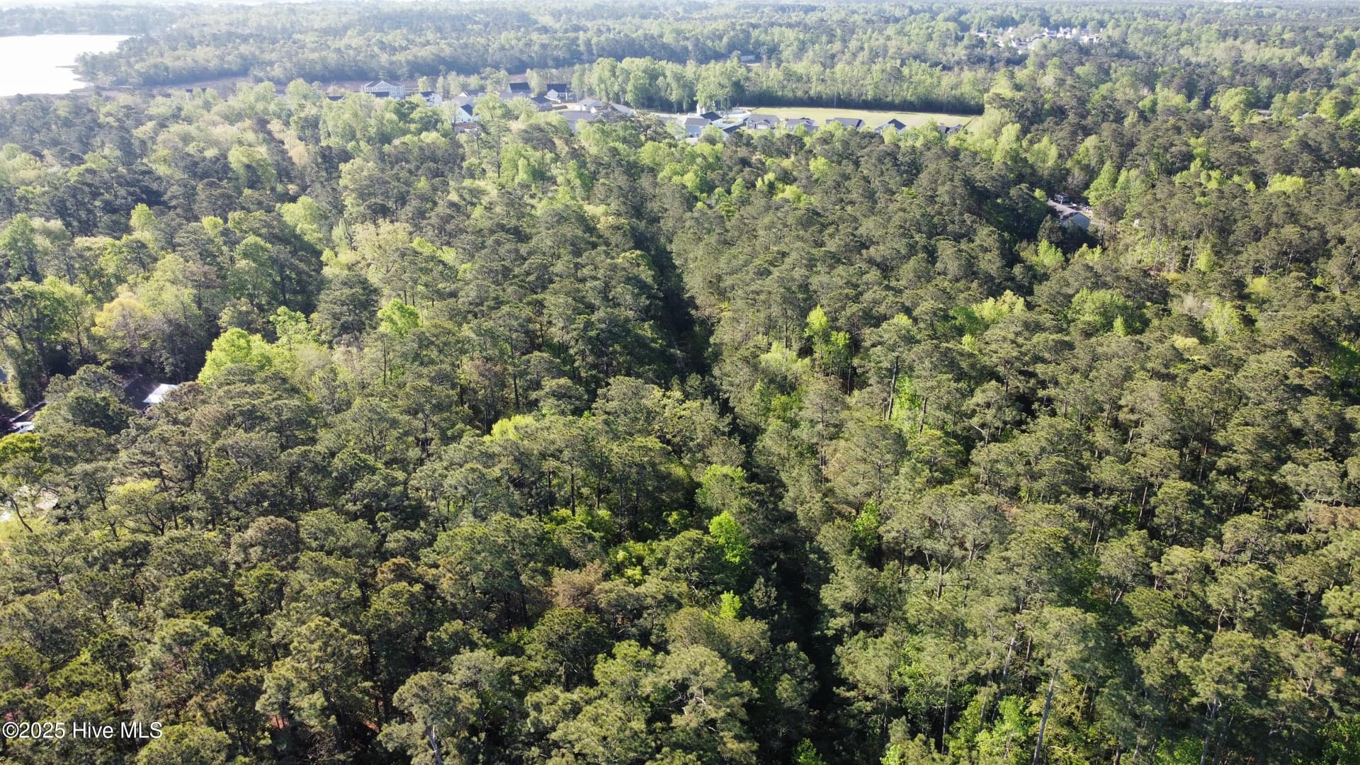 Residential Lot at Tbd Wood Creek Drive, Hubert, NC 28539, photo 3 of 8