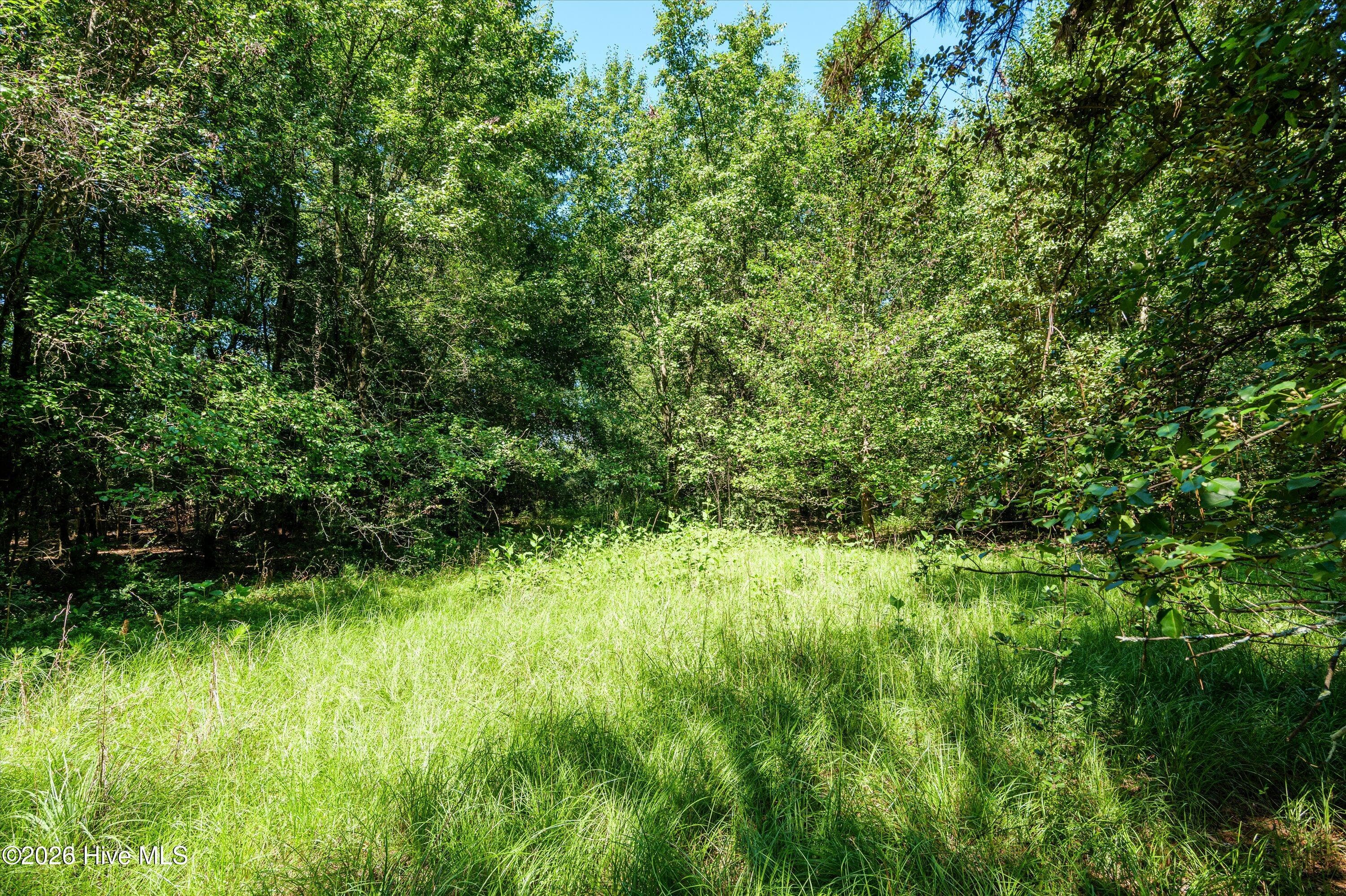 Residential Lot at 1-B River Oak Drive, North Augusta, SC 29841, photo 2 of 3