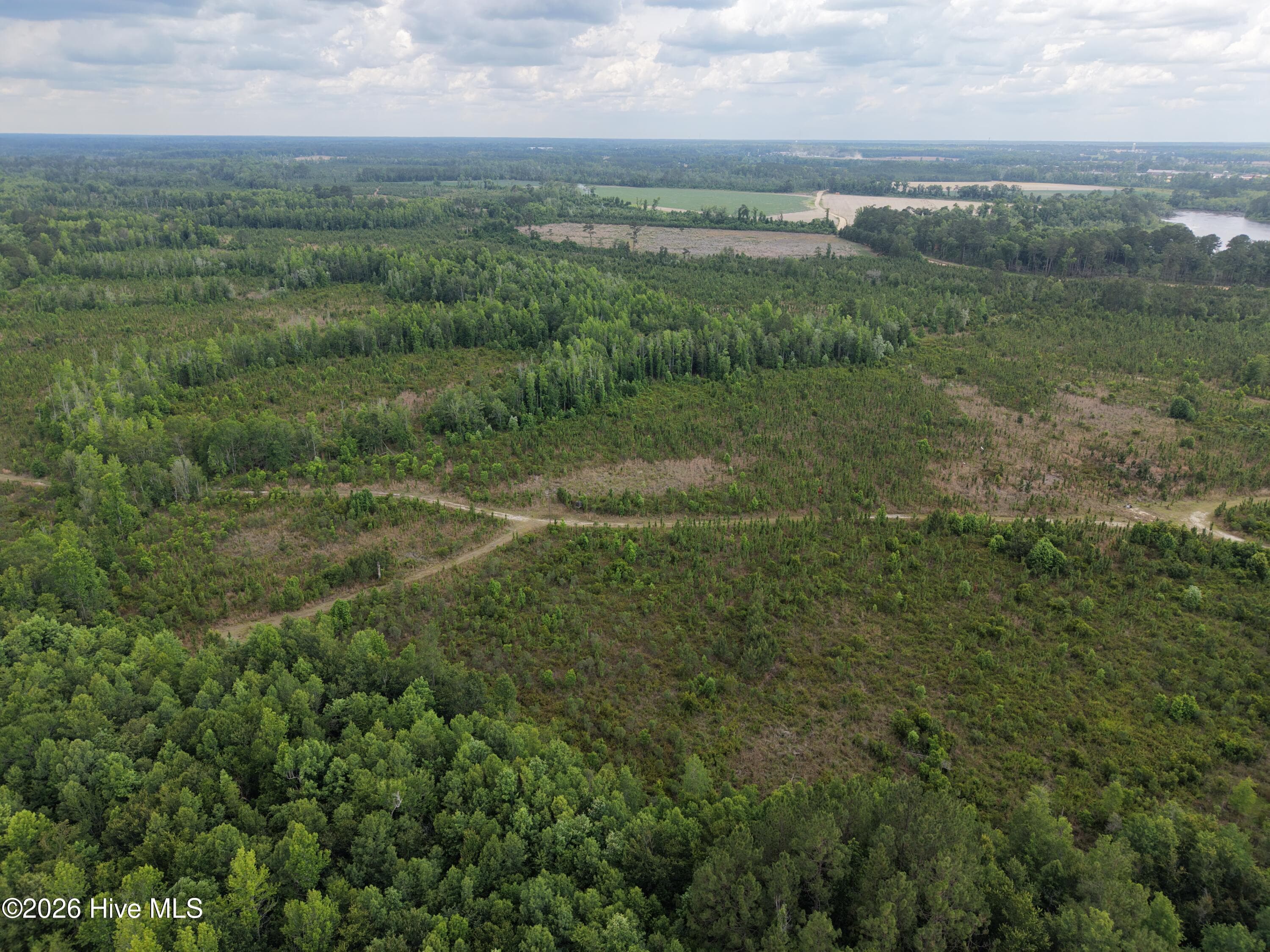 Agriculture at 0 S Hwy 129, Metter, GA 30439, photo 10 of 16