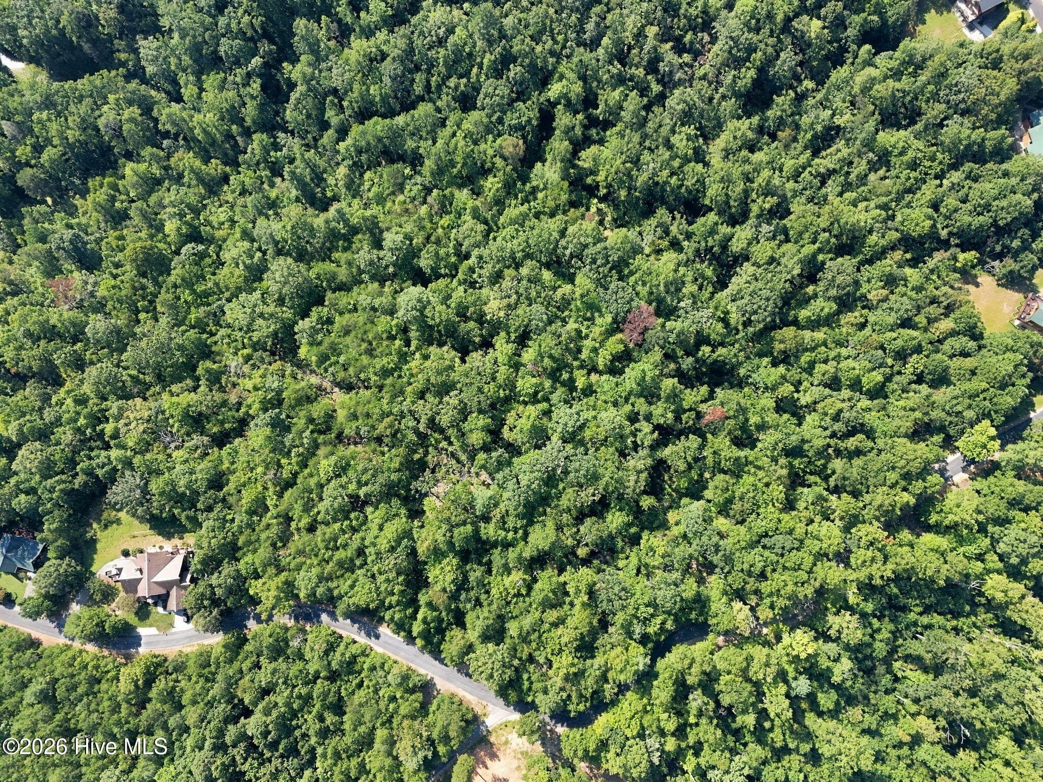 Residential Lot at 0 Nathan Mcdaniel Drive, Nebo, NC 28761, photo 4 of 30