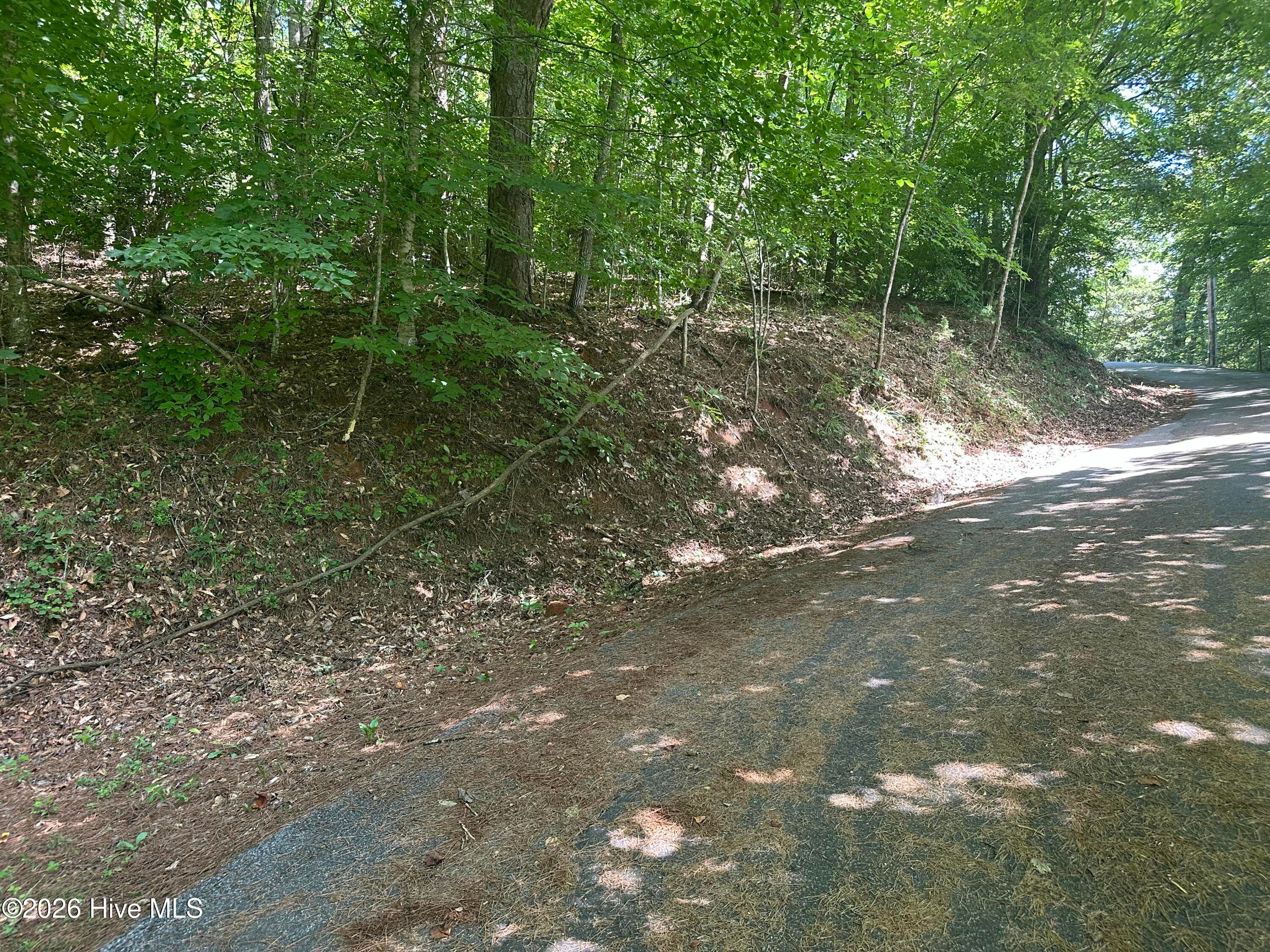 6 Bartram Trail Road, Franklin, NC 28734