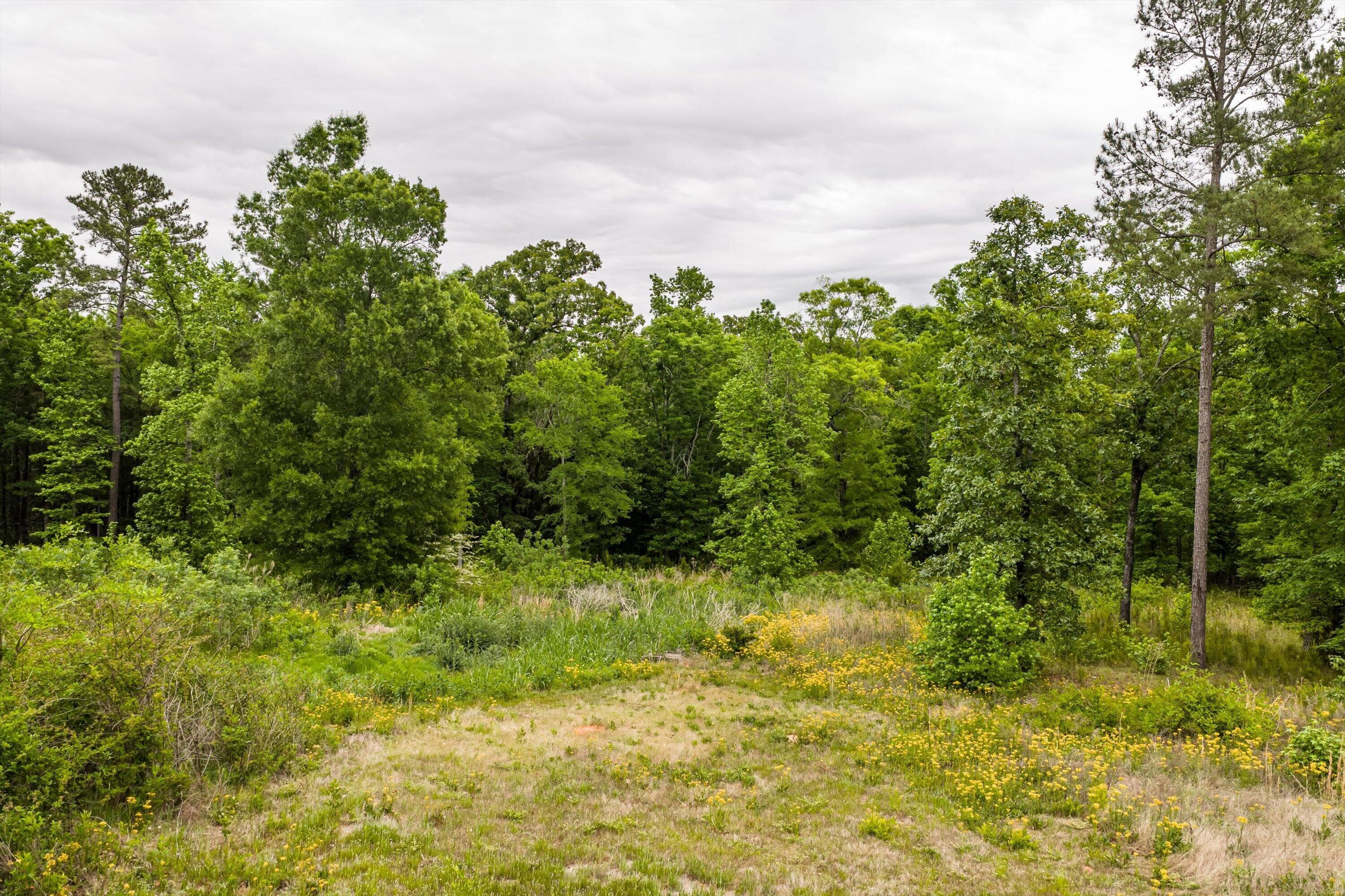 Mixed Use at 3776 Mt Zion Church Road, Lincolnton, GA 30817, photo 39 of 39