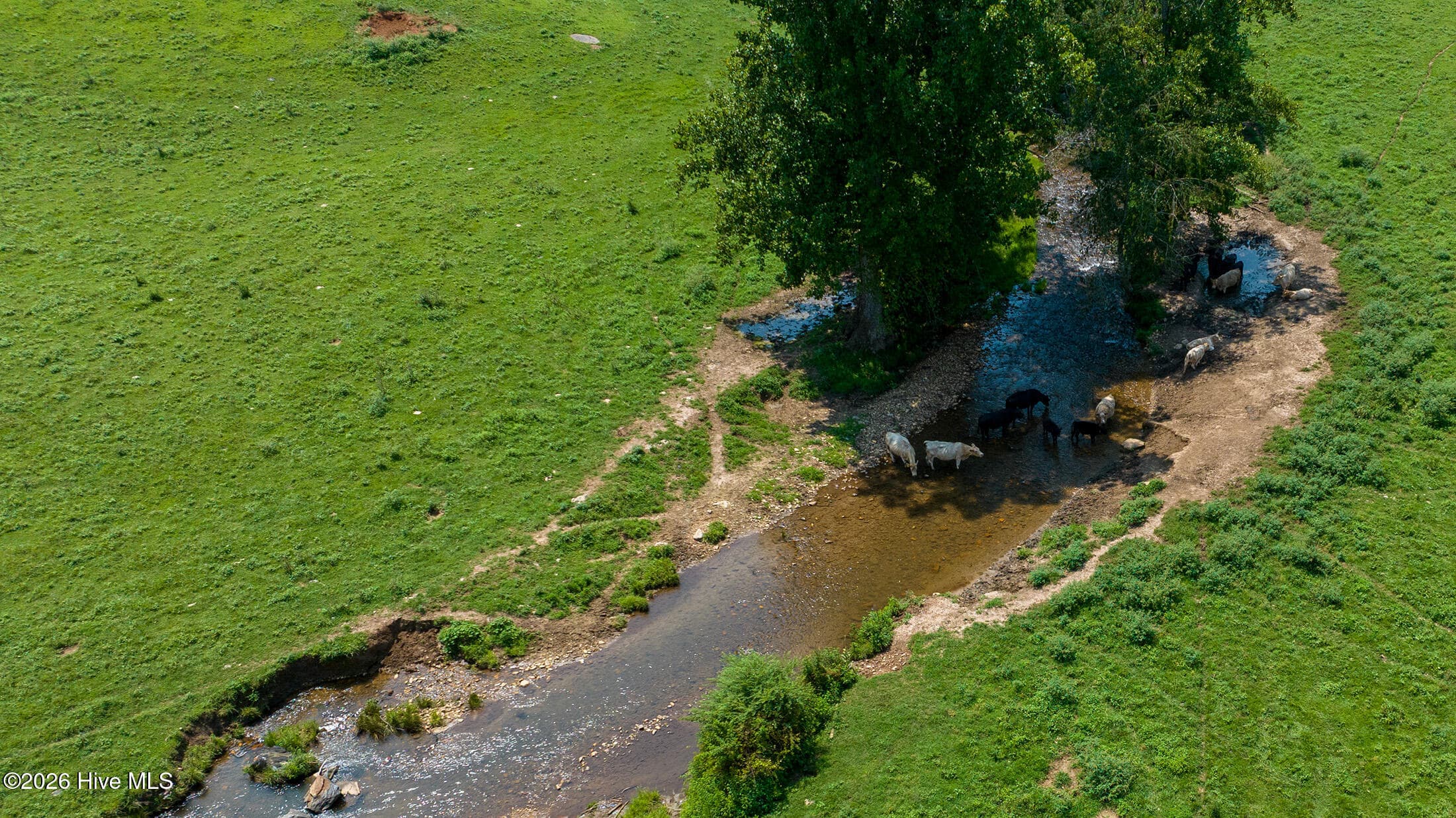 Agriculture at 51.20 Ac Bethabara Road, Hayesville, NC 28904, photo 7 of 17