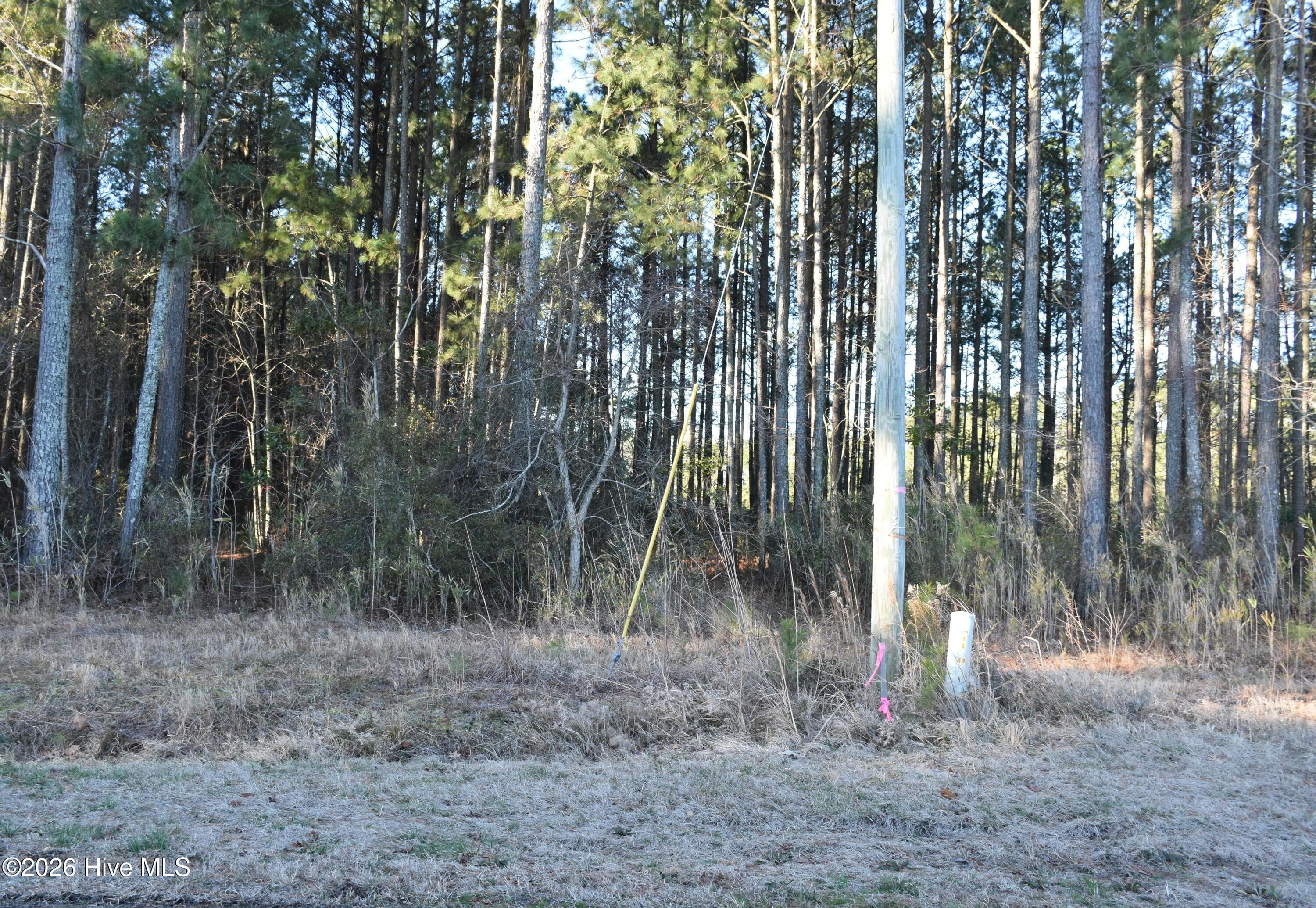 Residential Lot at 97 Mcgowan Road, Bath, NC 27808, photo 7 of 10