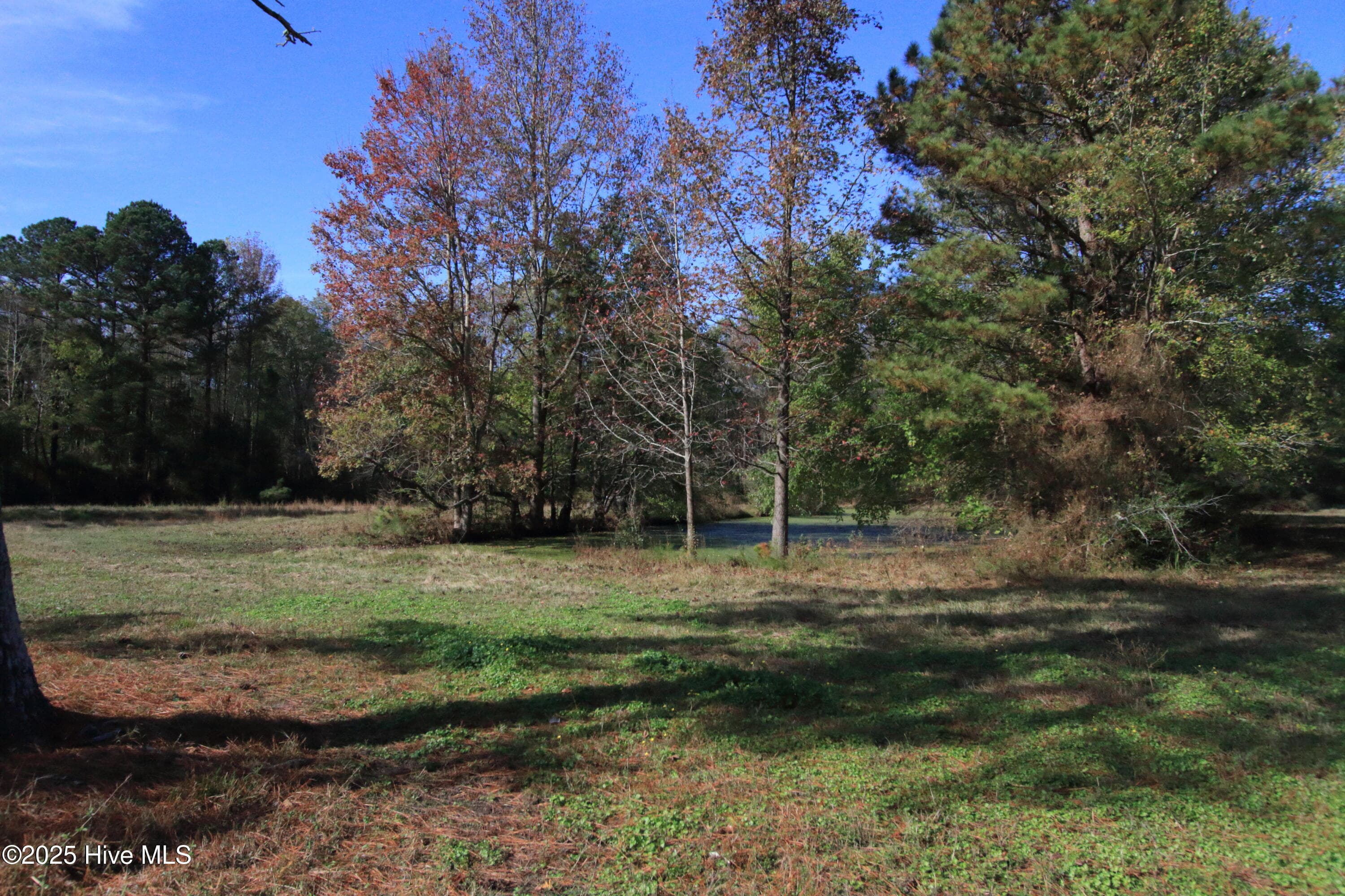 Single Family Residence at 00 Cedar Lane Road, Sanford, NC 27332, Sanford, photo 15 of 16