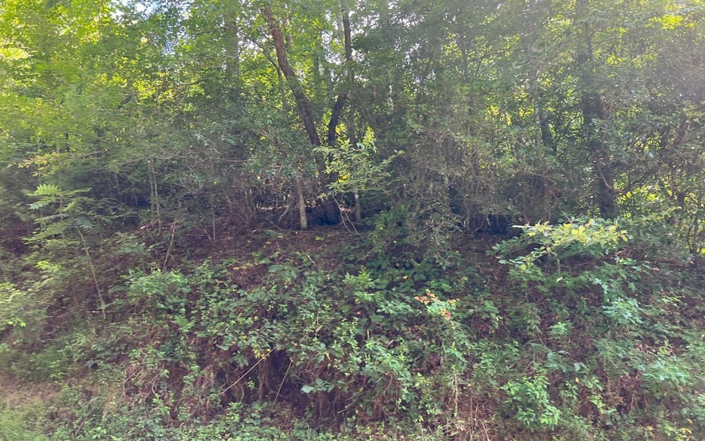 Land at Lot 77 77 Fires Creek Cove, Hayesville, NC 28904, Hayesville, photo 18 of 19