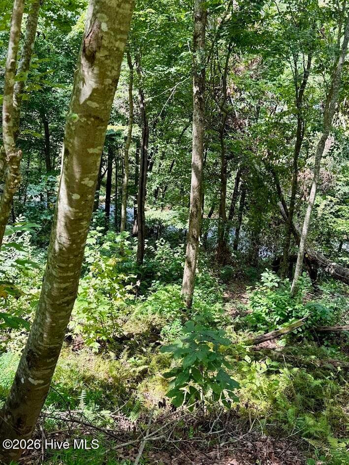 Residential Lot at Lots 5 & 6 Jasmine Drive, Marble, NC 28905, photo 20 of 23