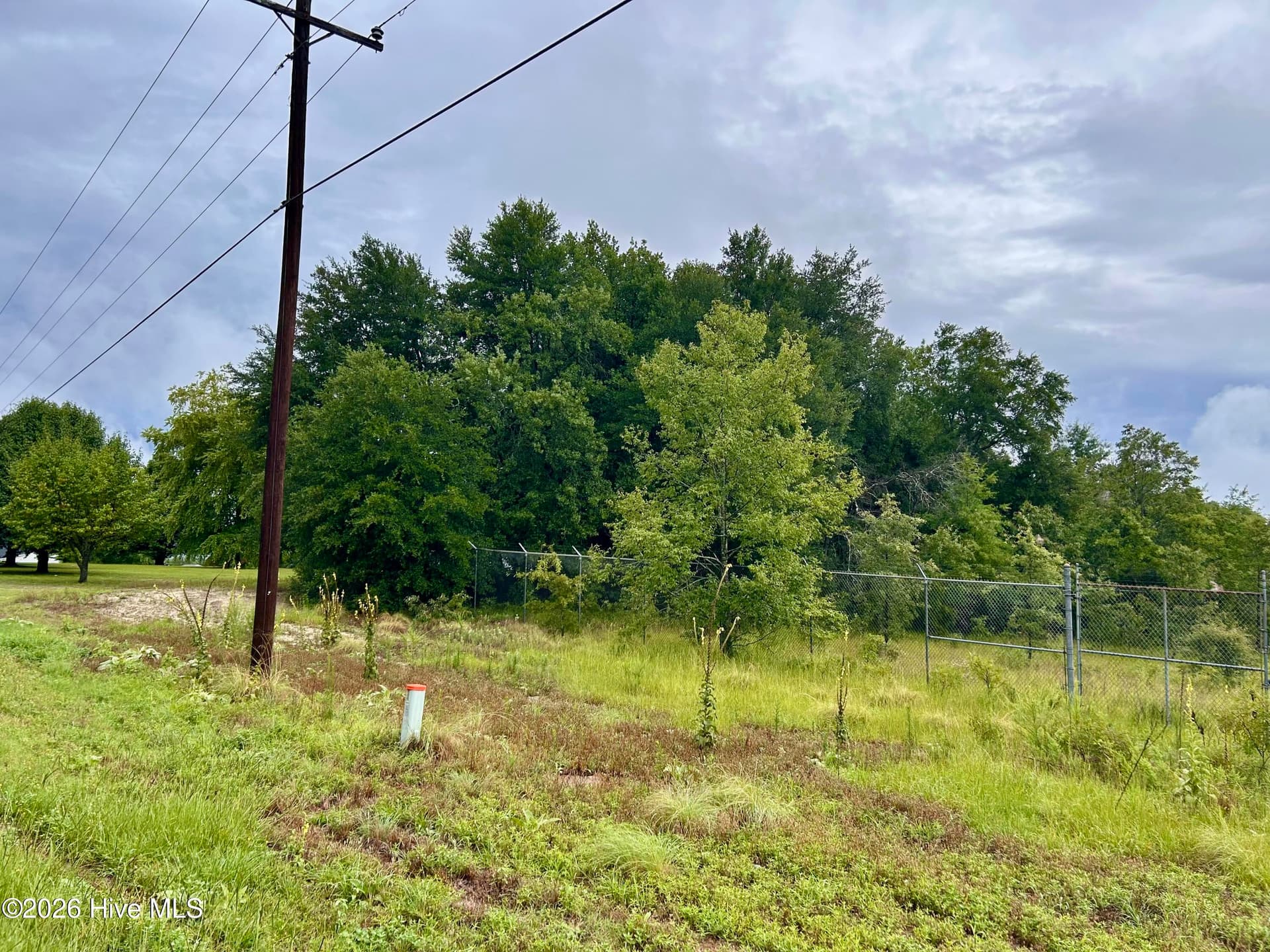 Commercial Sale at 0 Carolina 381, Hamlet, NC 28345, photo 5 of 8