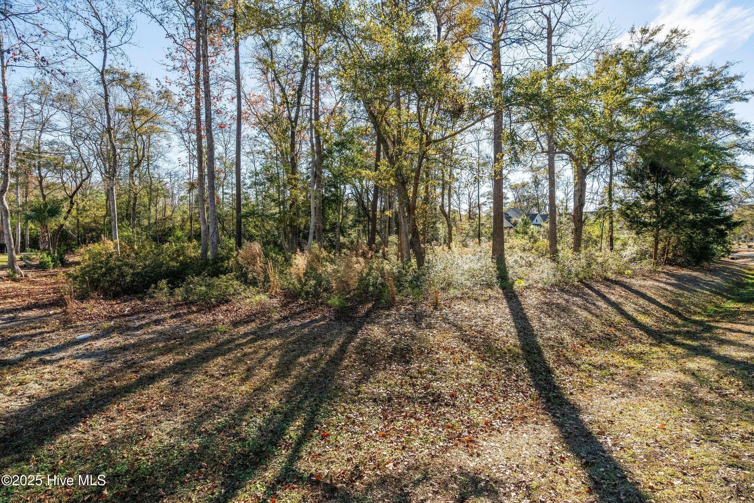 Residential Lot at 1872 185 Healing Water Lane SW, Supply, NC 28462, photo 11 of 29