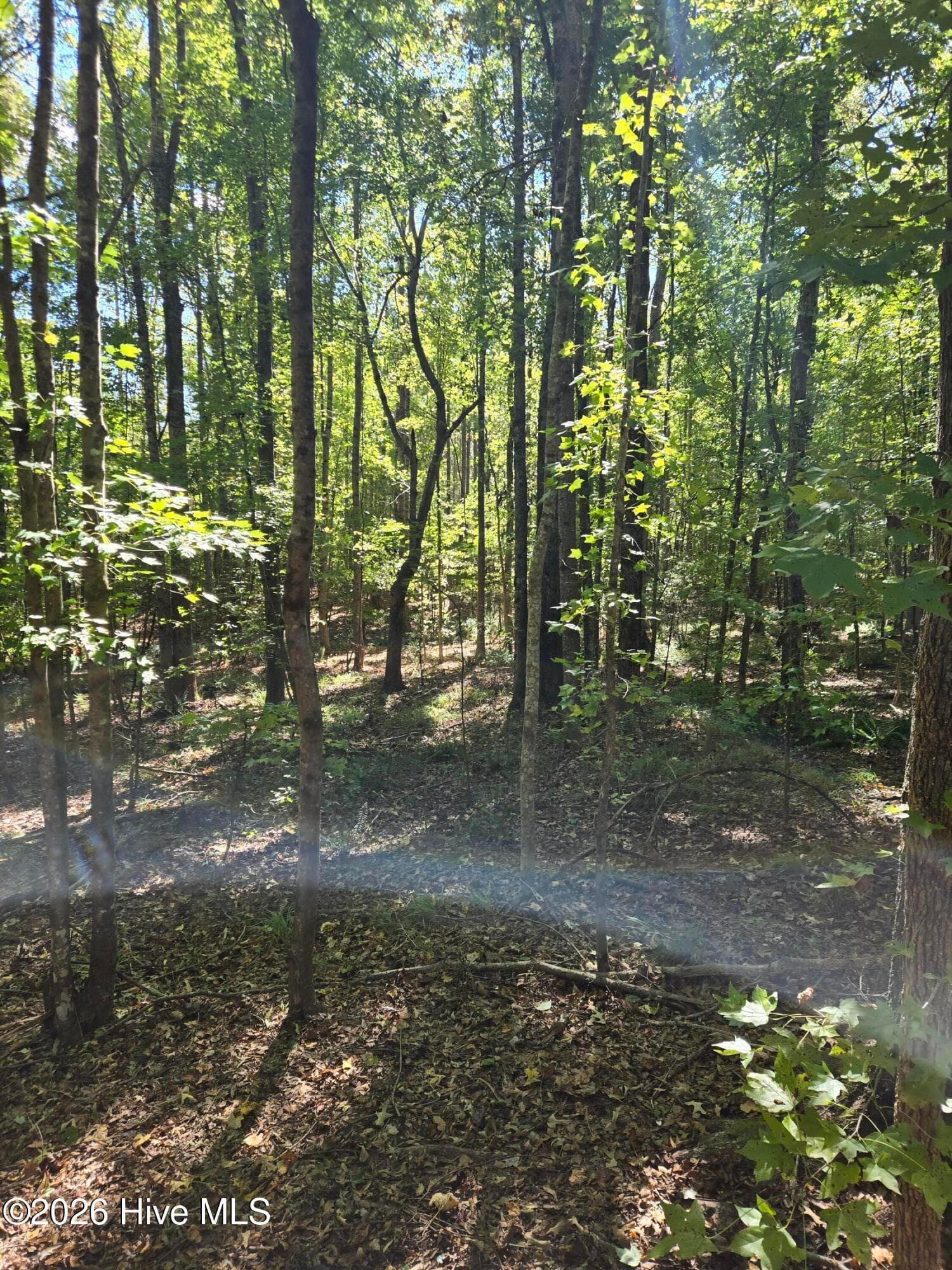 Residential Lot at 2776 Crook Road, Lincolnton, GA 30817, photo 21 of 23
