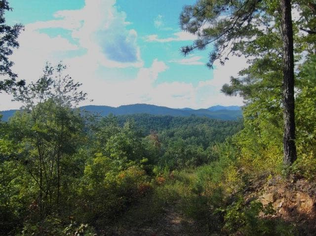 Land at 2.57 Scottie Mountain Circle, Murphy, NC 28906, photo 2 of 11