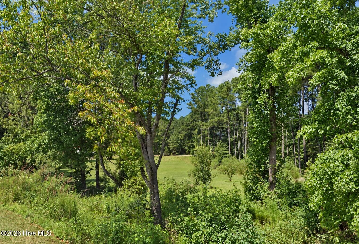 Residential Lot at 0 Rough Lane, Louisburg, NC 27549, photo 5 of 10