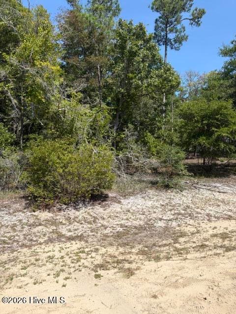 Residential Lot at 3374 469 Sandridge Lane SW, Supply, NC 28462, photo 9 of 16