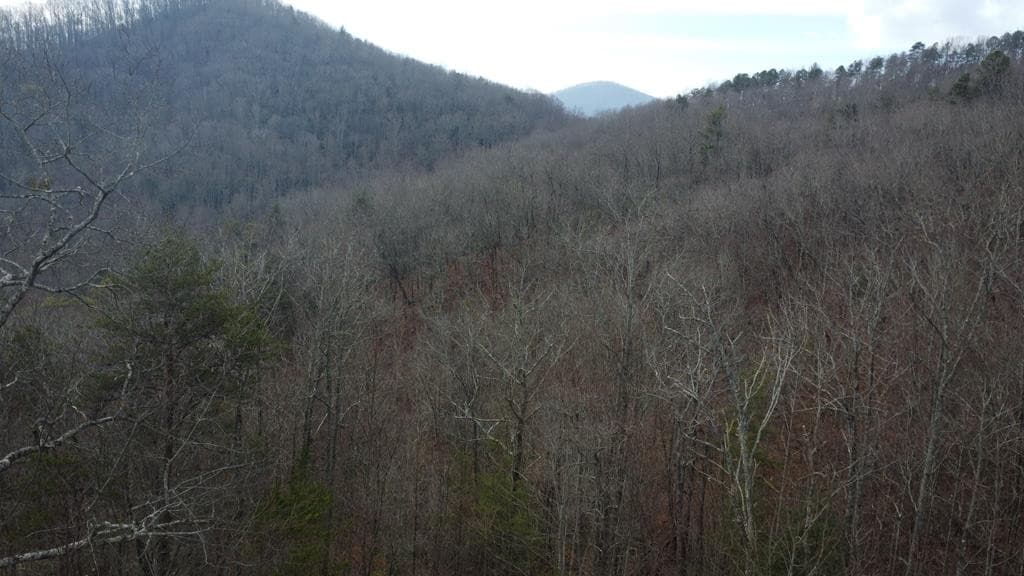 300 48 Jernigan Court, Murphy, NC 28906