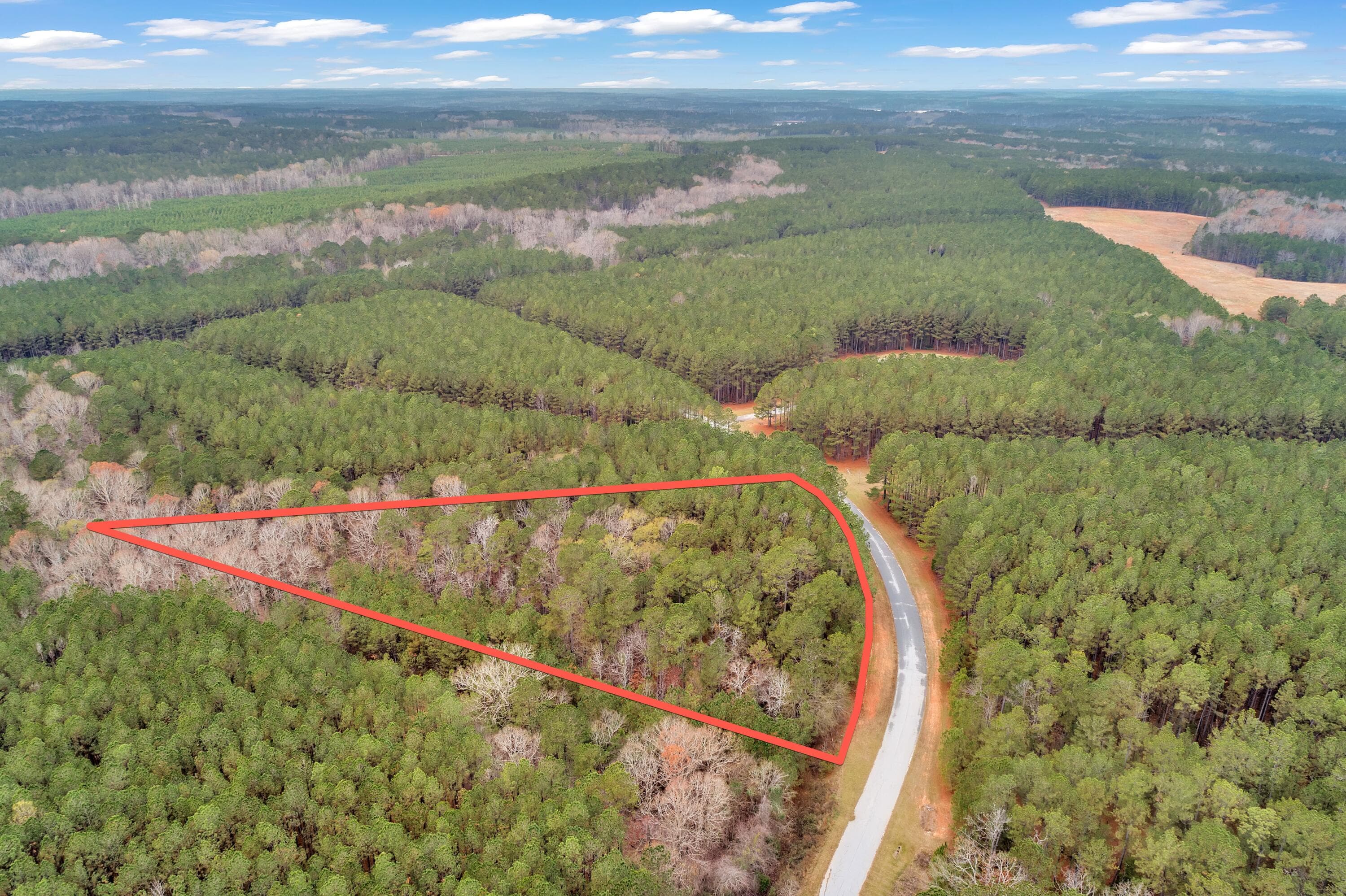 Residential Lot at 1252 294 Rogers Road, Tignall, GA 30668, photo 19 of 29