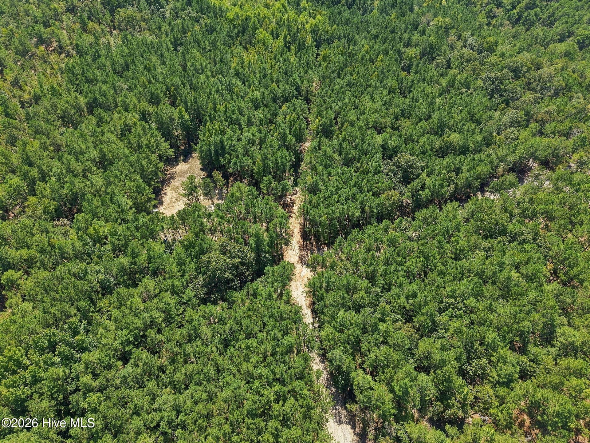 Undeveloped at 260 Full Bright Lane, Cameron, NC 28326, photo 8 of 15