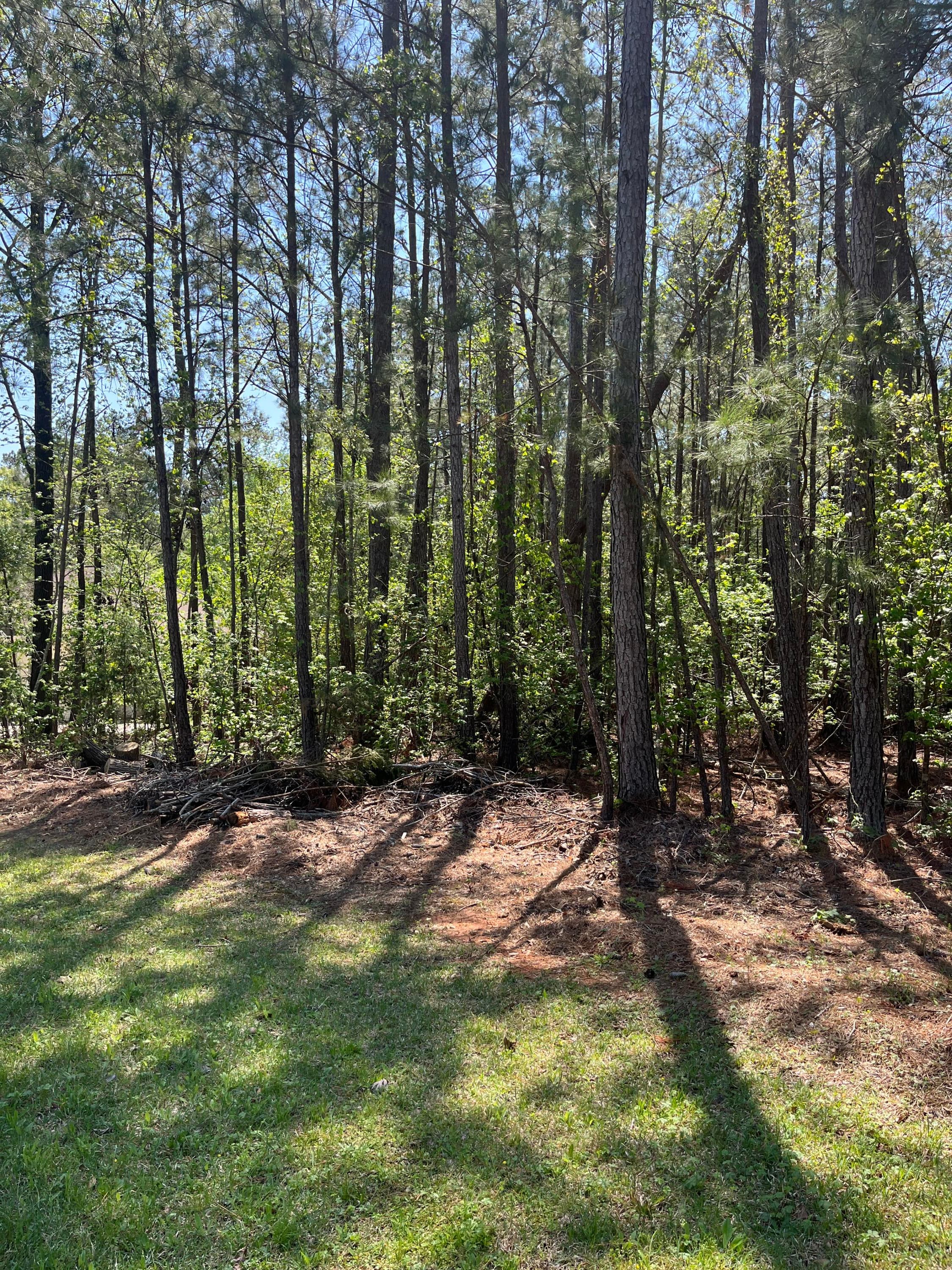 L14 B39 Antioch Drive, McCormick, SC 29835