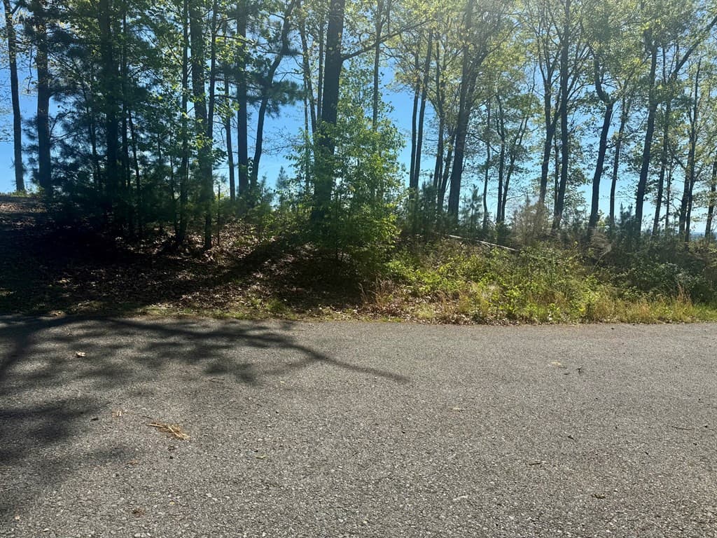 Residential Lot at 51 51 Wayah Ridge, Murphy, NC 28906, photo 5 of 6