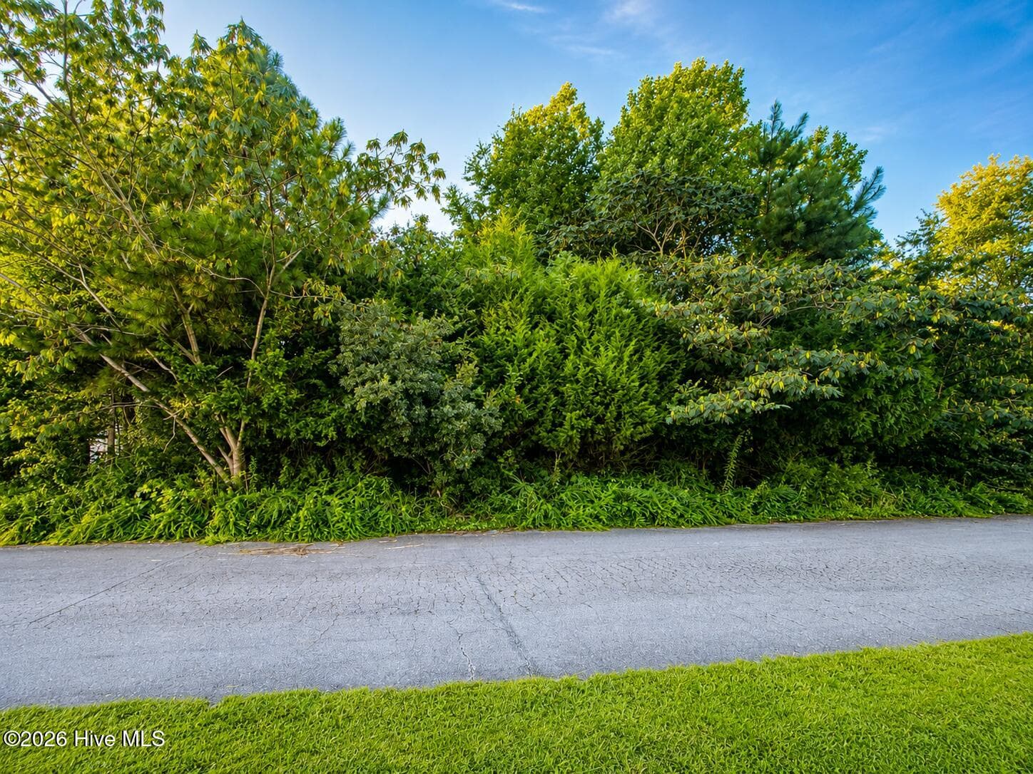 114 43 Cherrybark Drive, Jacksonville, NC 28540