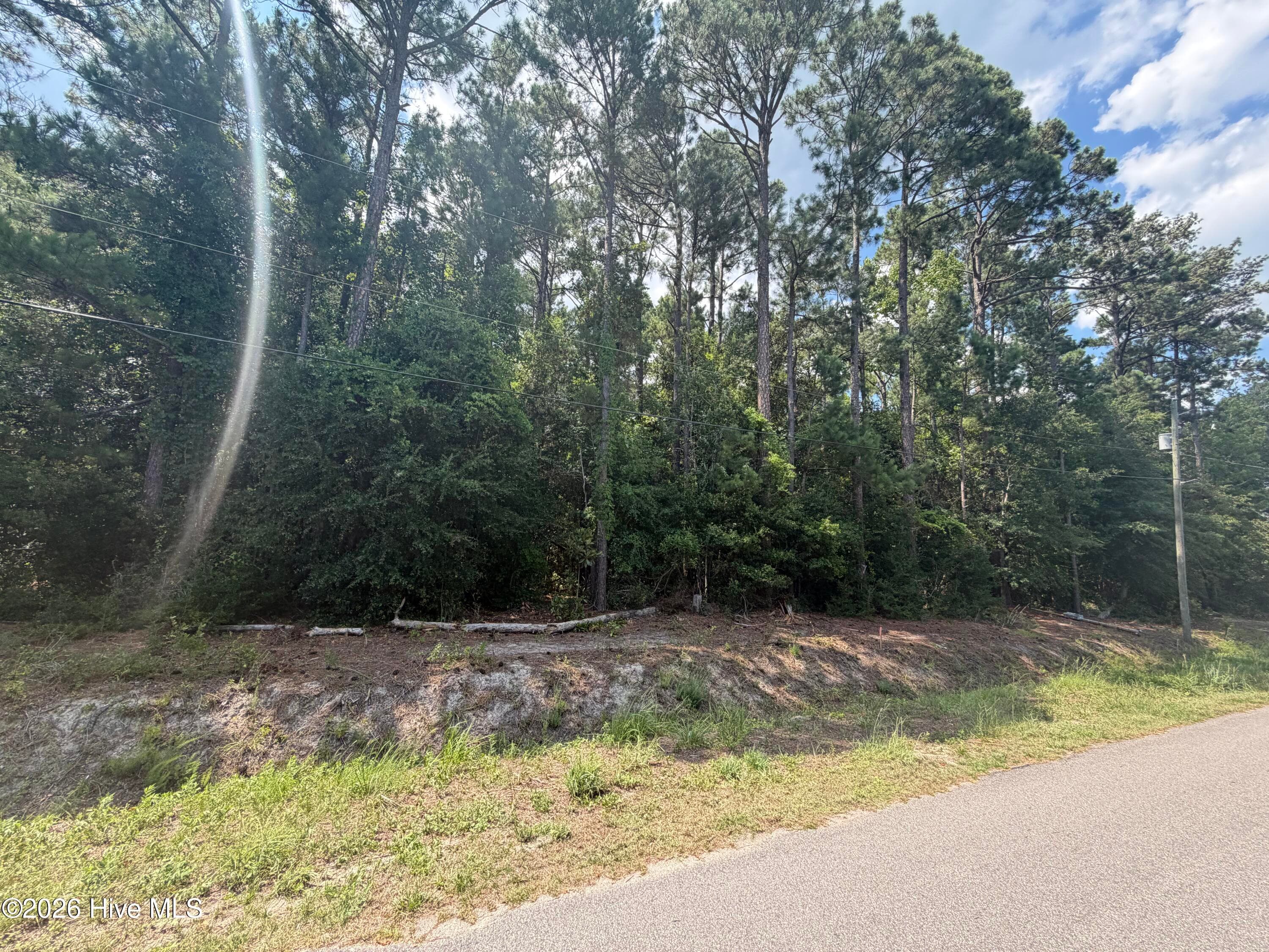 225 24 Pages Creek Drive, Wilmington, NC 28411