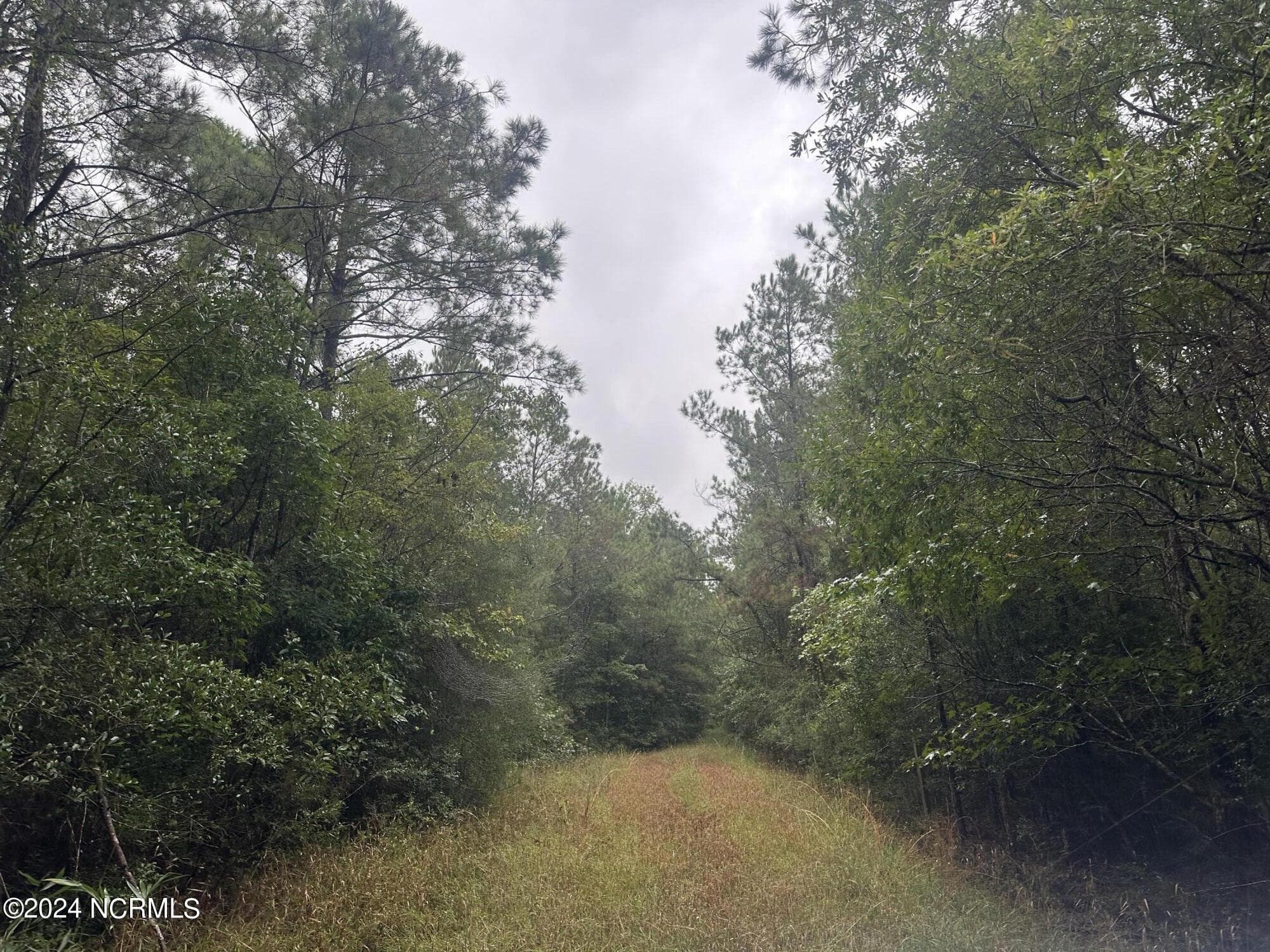 Wooded at Tbd Ash Little River Road NW, Ash, NC 28420, photo 6 of 15