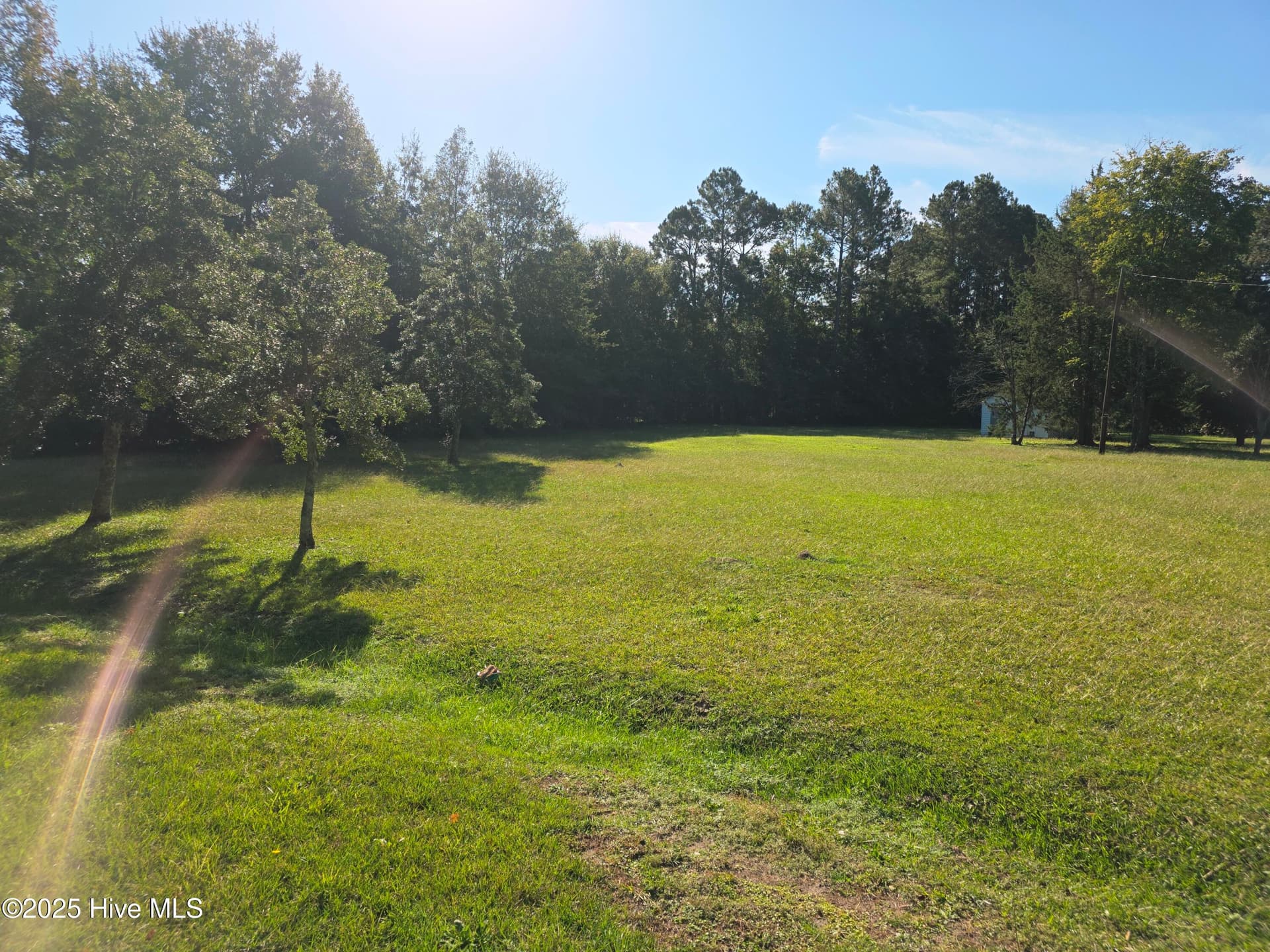 Residential Lot at 205 Bruce Street, Fair Bluff, NC 28439, photo 2 of 5