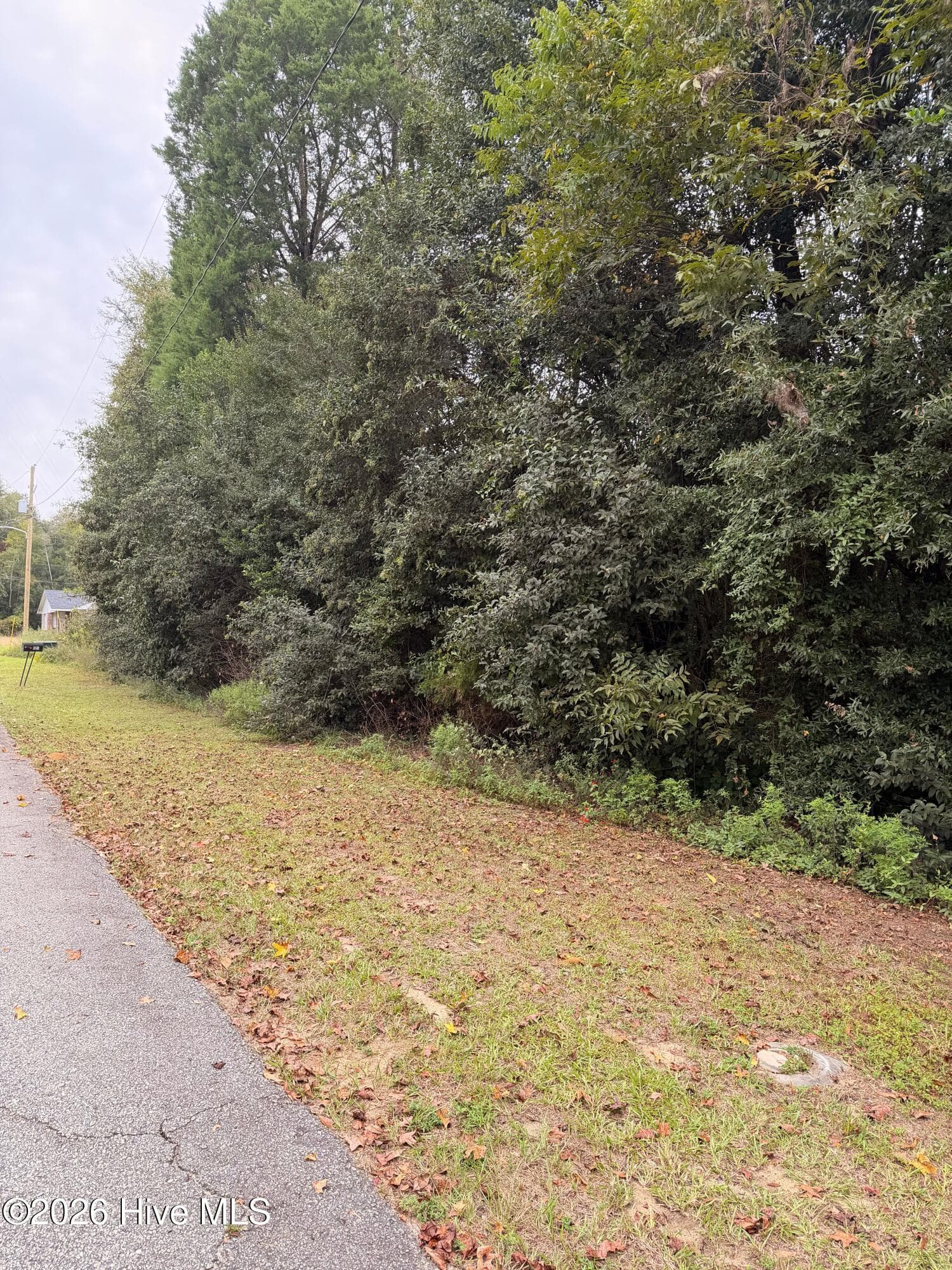 Residential Lot at 0 Mary Street, Midville, GA 30441, photo 4 of 4