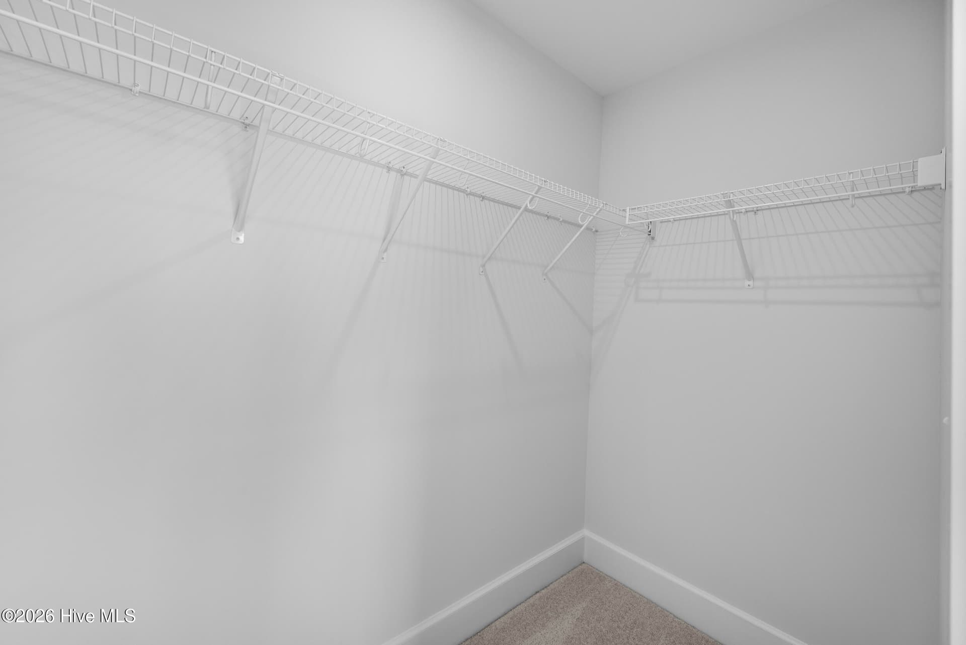 “Home shown is a representation of the floor plan and may include optional features or upgrades. Elevations, materials, colors, finishes, square footage, and included features may vary from the actual home. Please consult a Sales Representative for complete details.” - 6055 Painted Turtle Place 163, Leland, NC 28451