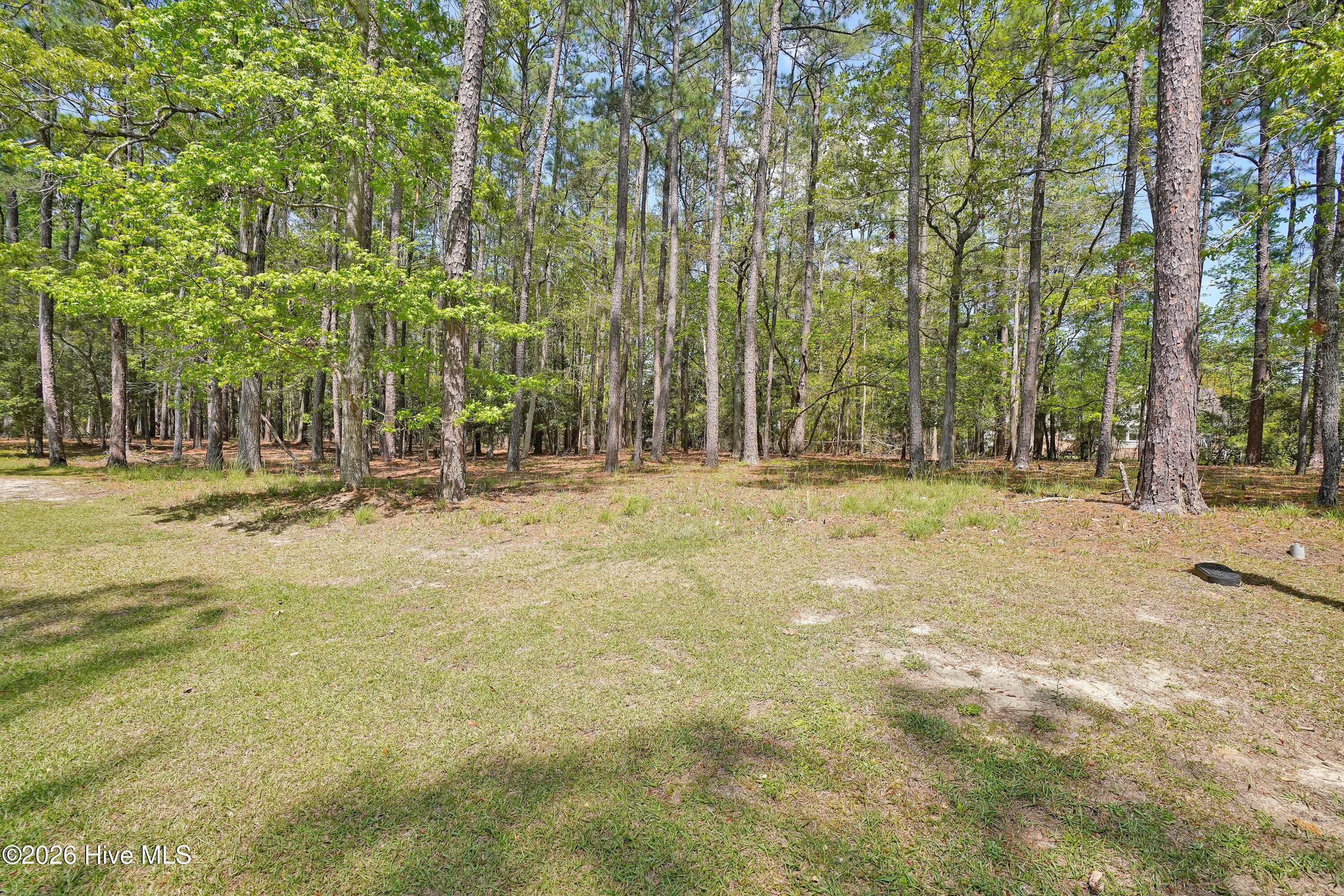3736 51 Pine Brook Trail, Shallotte, NC 28470