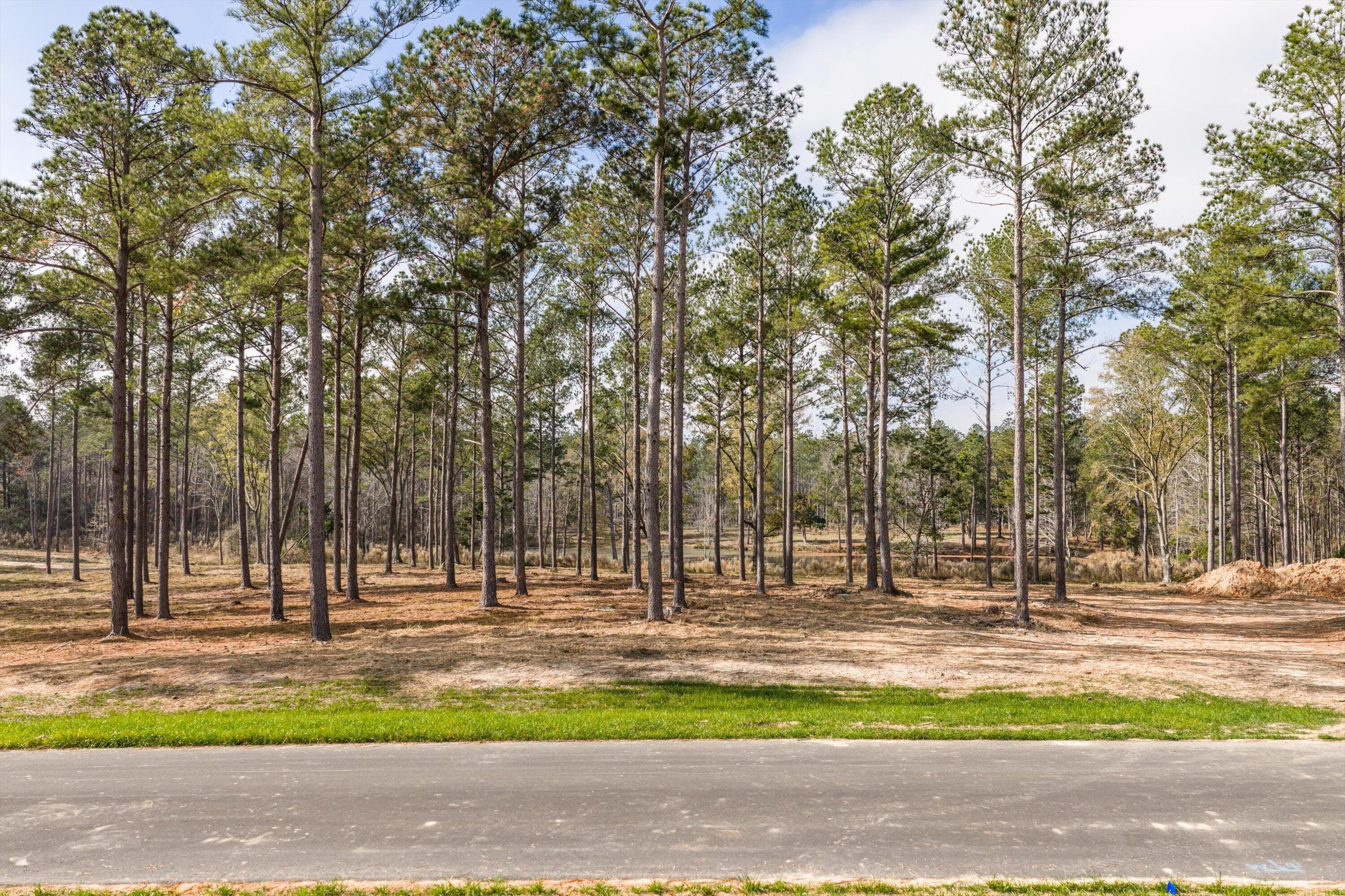 Residential Lot at 128 Beagle Chase Drive, Appling, GA 30802, photo 3 of 7