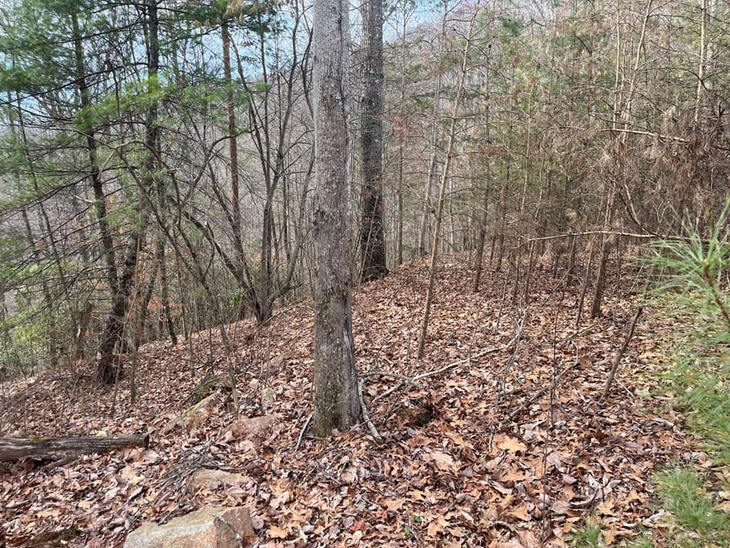 Undeveloped at 300 48 Jernigan Court, Murphy, NC 28906, photo 10 of 12