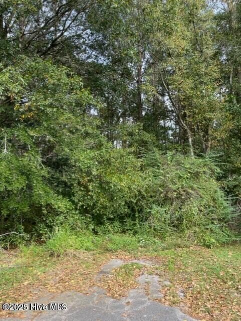Residential Lot at 0 Near 715 E 1st Avenue, Chadbourn, NC 28431, photo 2 of 4