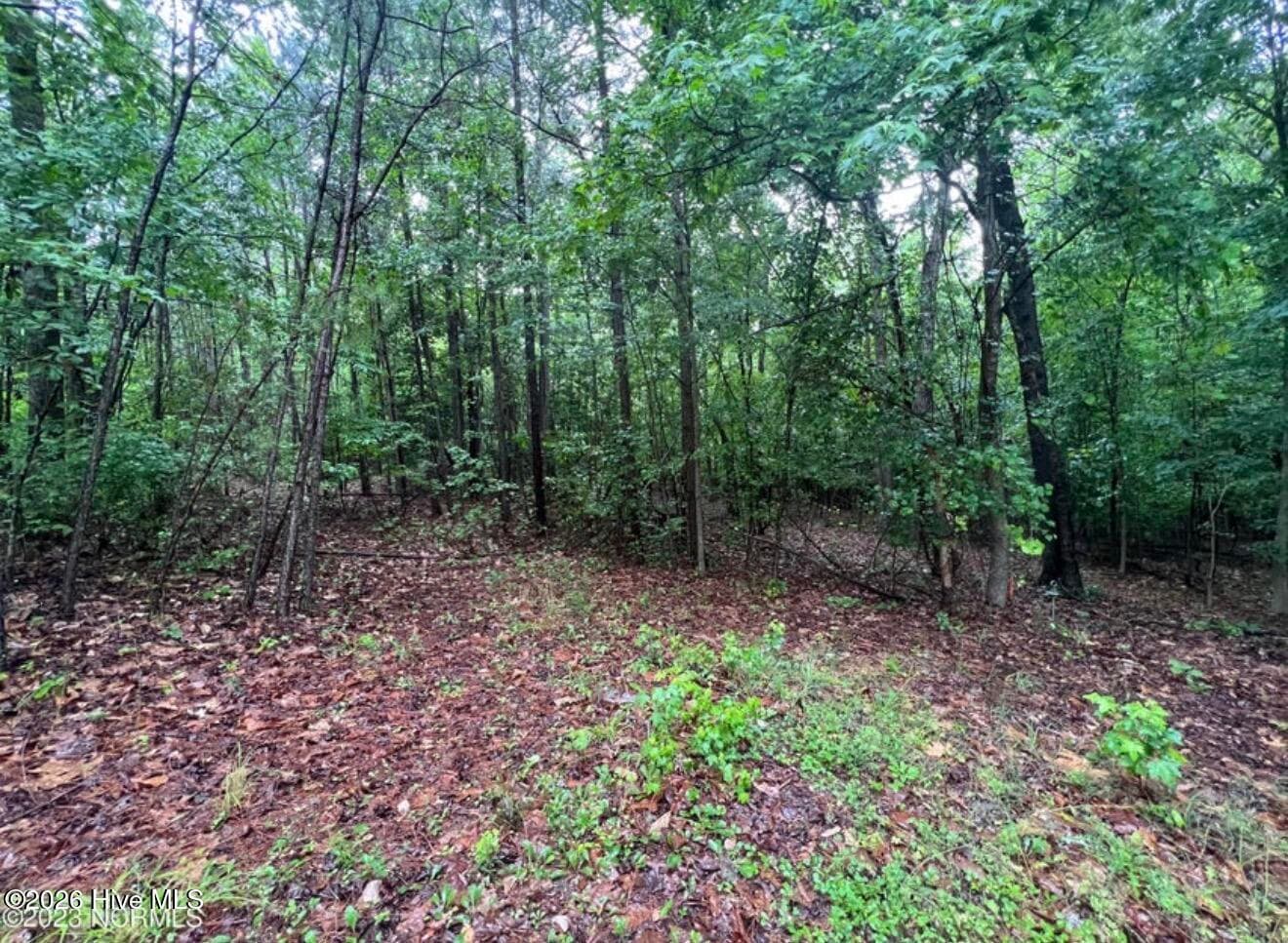 Undeveloped at Tbd Buggy Drive W, Carthage, NC 28327, photo 11 of 13