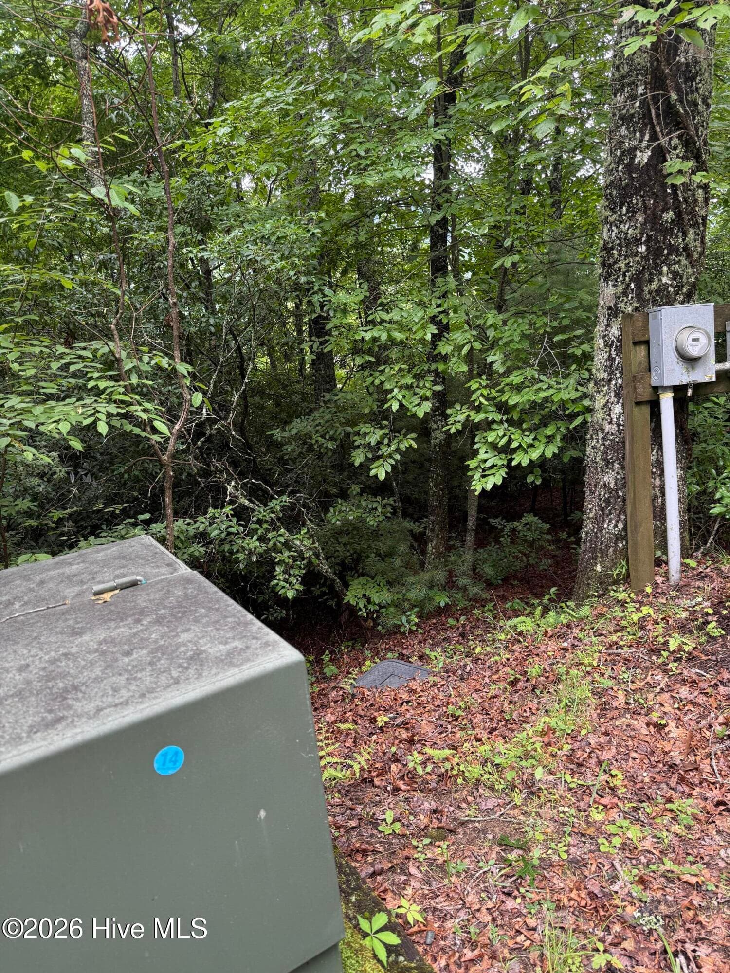 Residential Lot at Lot 14 14 Mountain Vista Lane, Topton, NC 28781, photo 2 of 8
