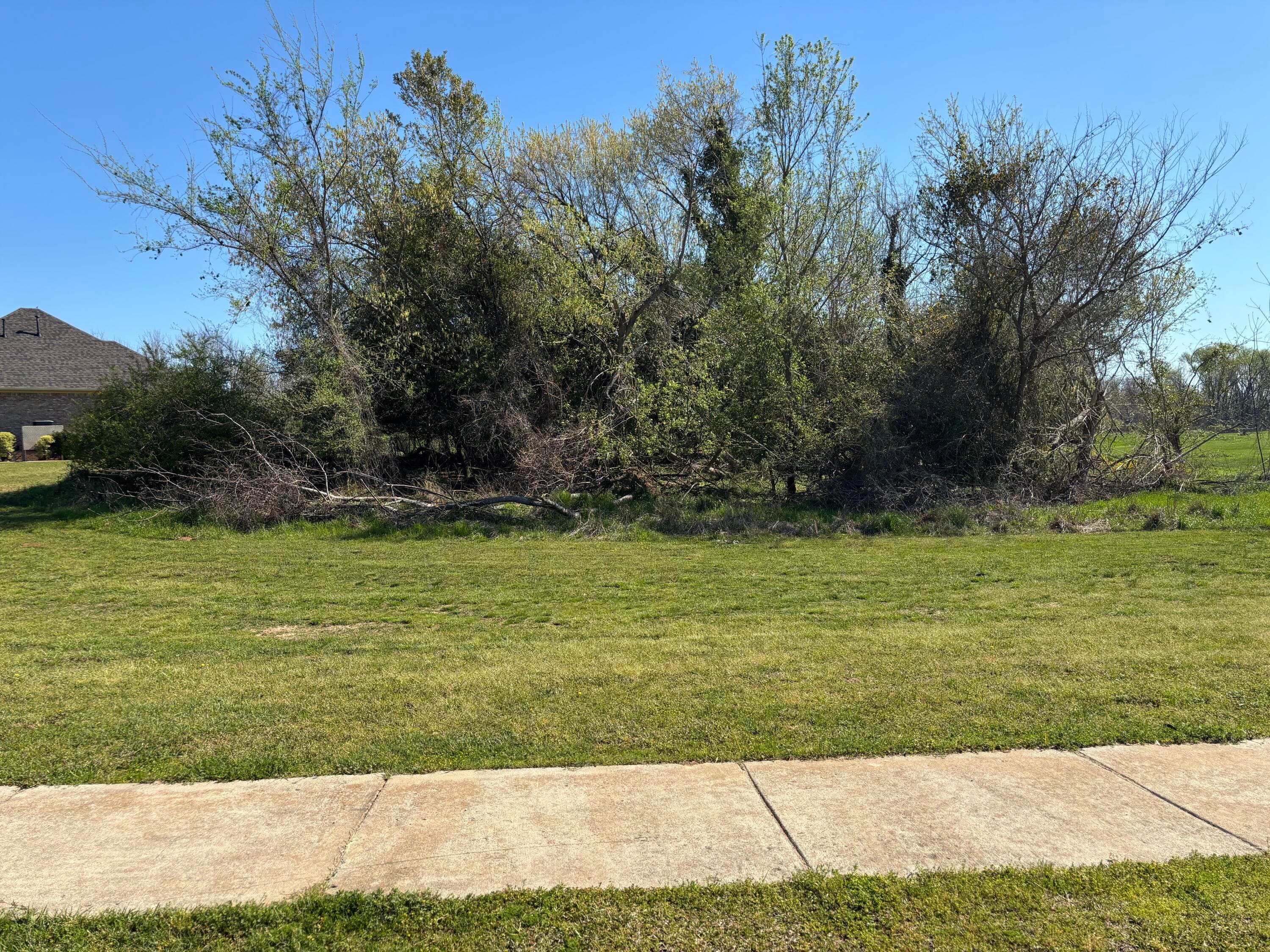 Residential Lot at 305 Rivernorth Drive, North Augusta, SC 29841, photo 2 of 3