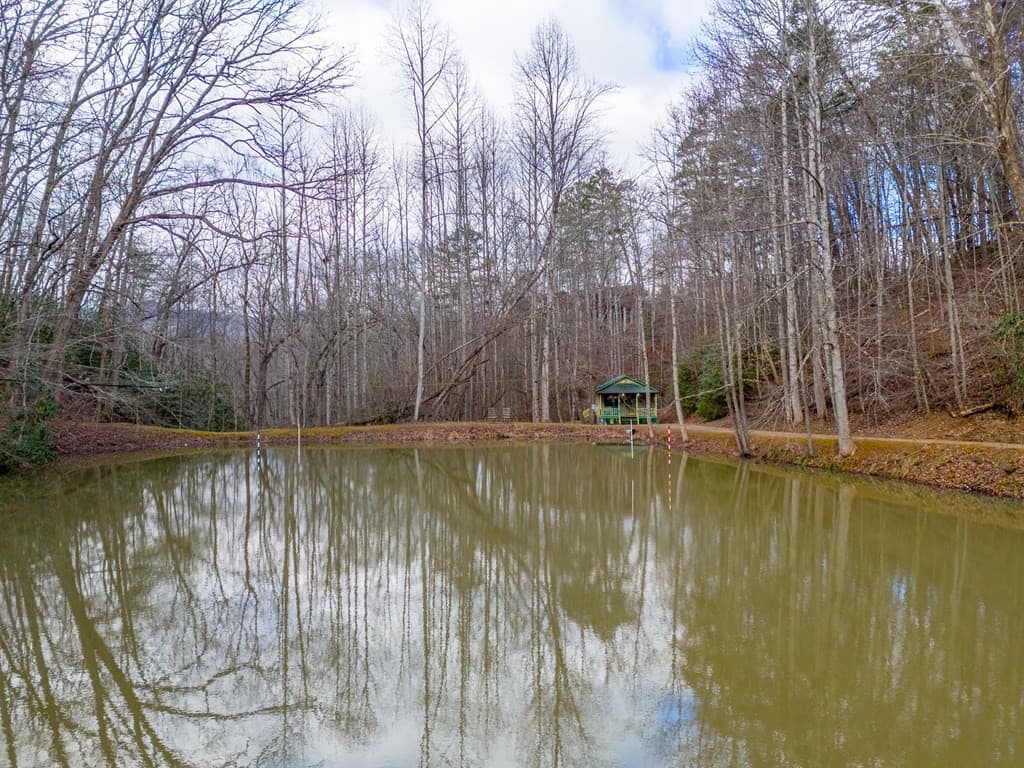 Residential at 180 Valley Lane, Bryson City, NC 28713, Bryson City, photo 76 of 82