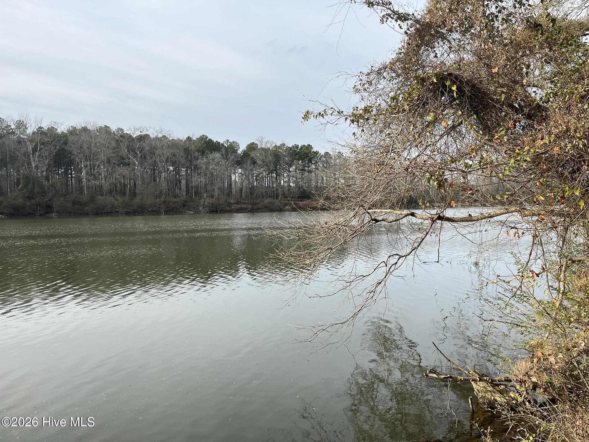 Looking north from site - 355.7 Horseshoe Road, Rockingham, NC 28379