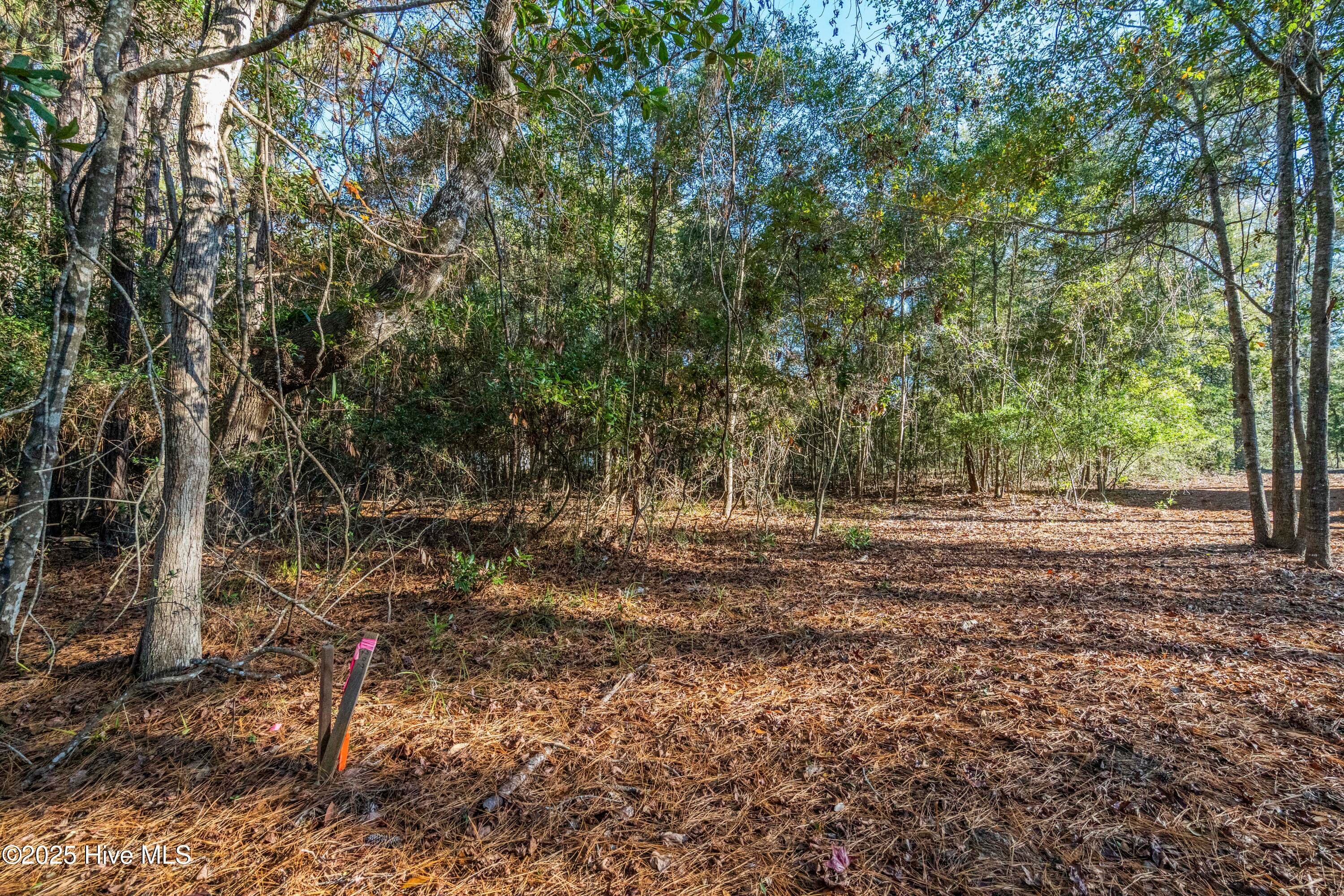 Residential Lot at 1984 293R Redfish Run SW, Supply, NC 28462, photo 15 of 34