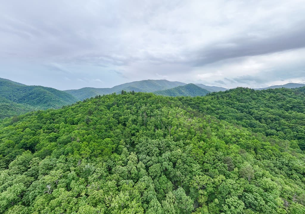 Land at 399 Shell Stand Road, Almond, NC 28702, photo 12 of 21